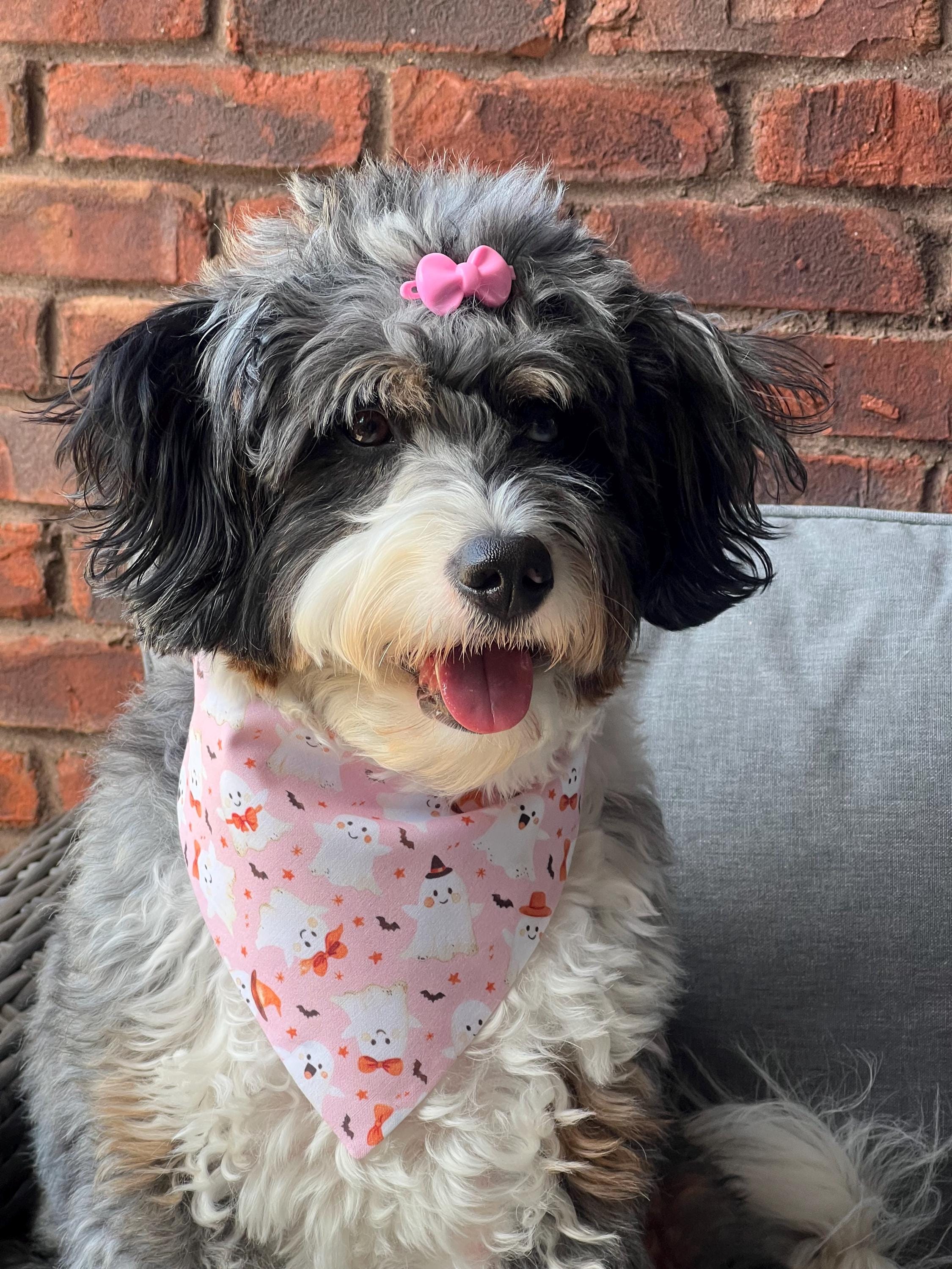 Pink Halloween Dog Bandana: Giddy Ghosts Over-the-Collar or Scrunchie