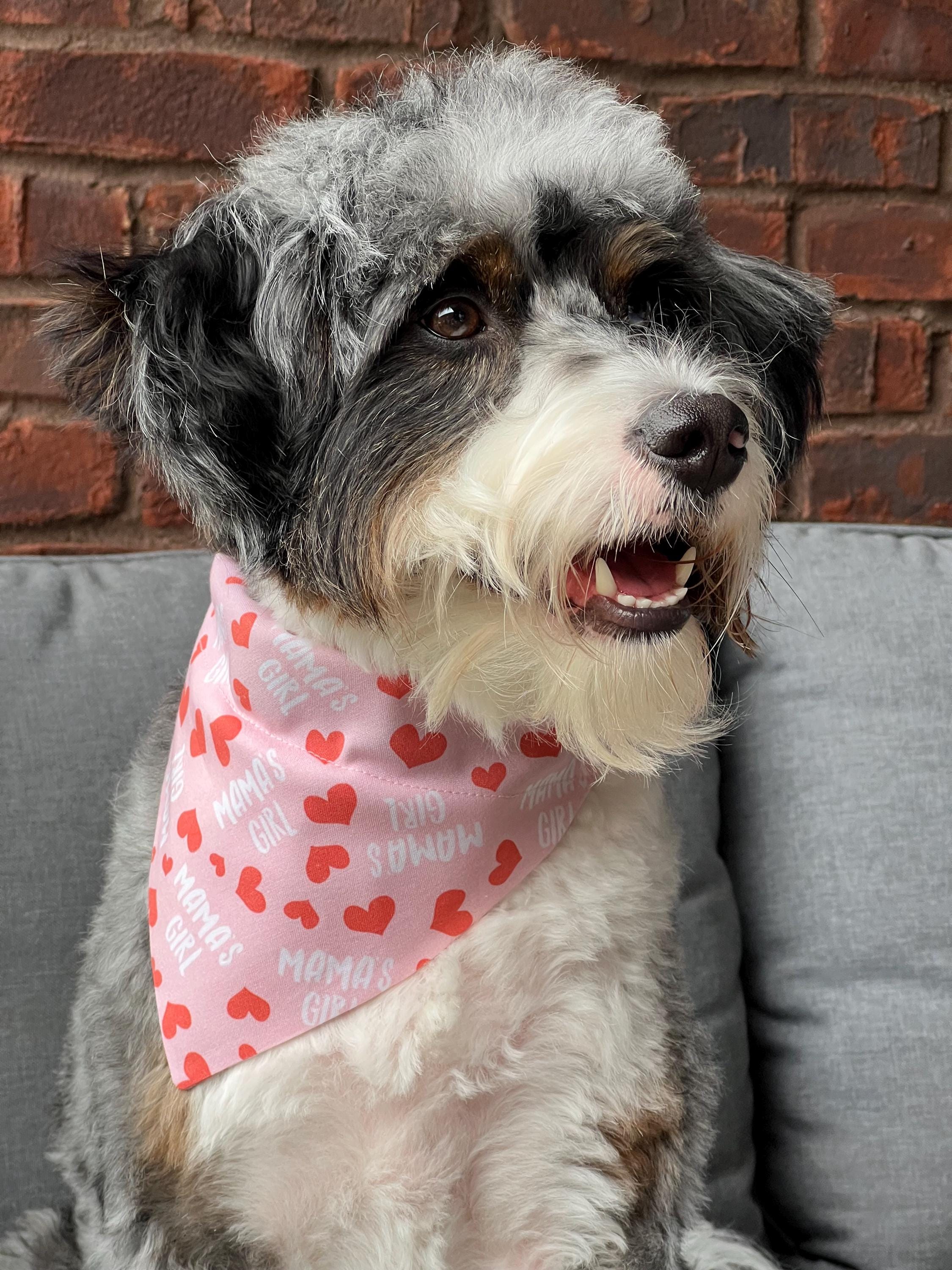 Mama's Girl Red Hearts Dog Bandana Over the Collar Scrunchie Mother's Day Mom