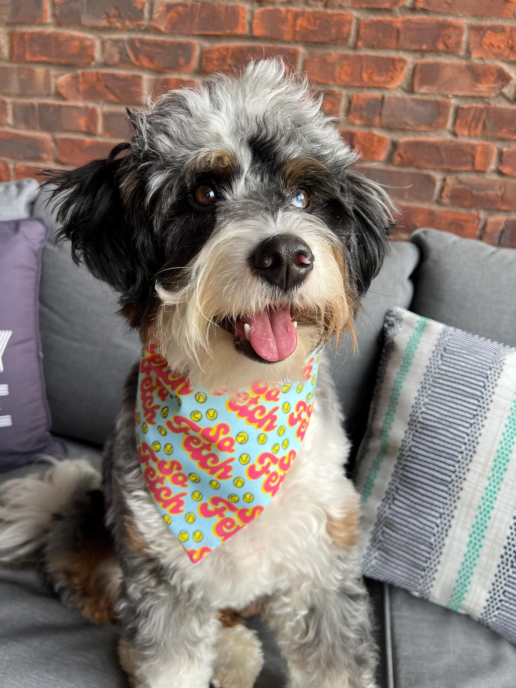 So Fetch Tennis Ball Dog Bandana Over the Collar Scrunchie Teal Mean Girl