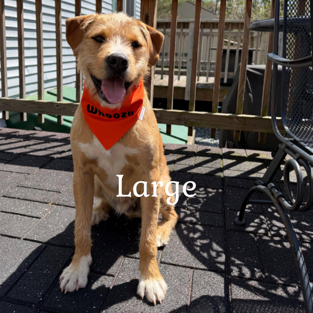 Personalized Dog Bandana:  Scrunchie