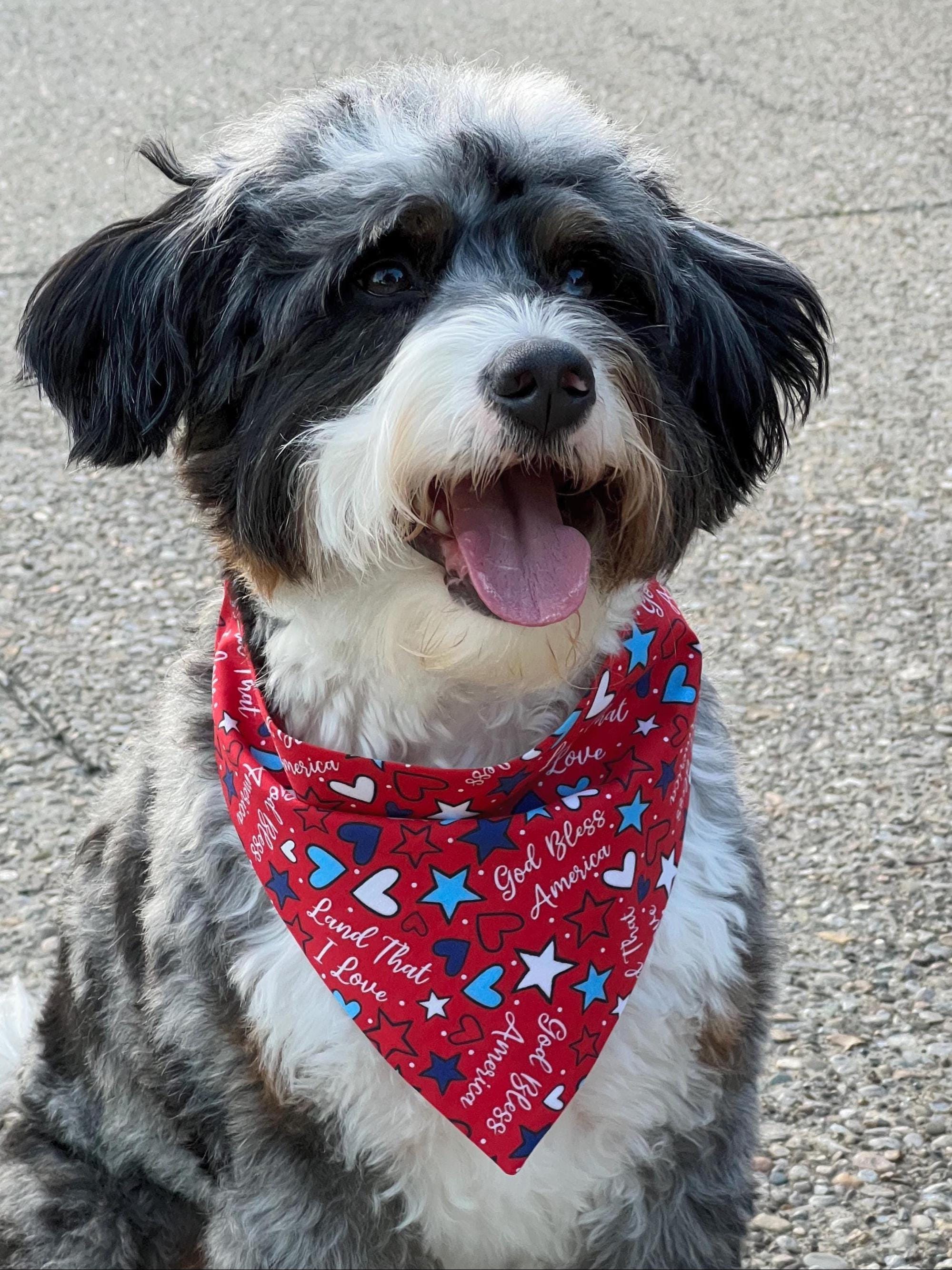 Patriotic Dog Bandana: Fourth of July Scrunchie & Over the Collar