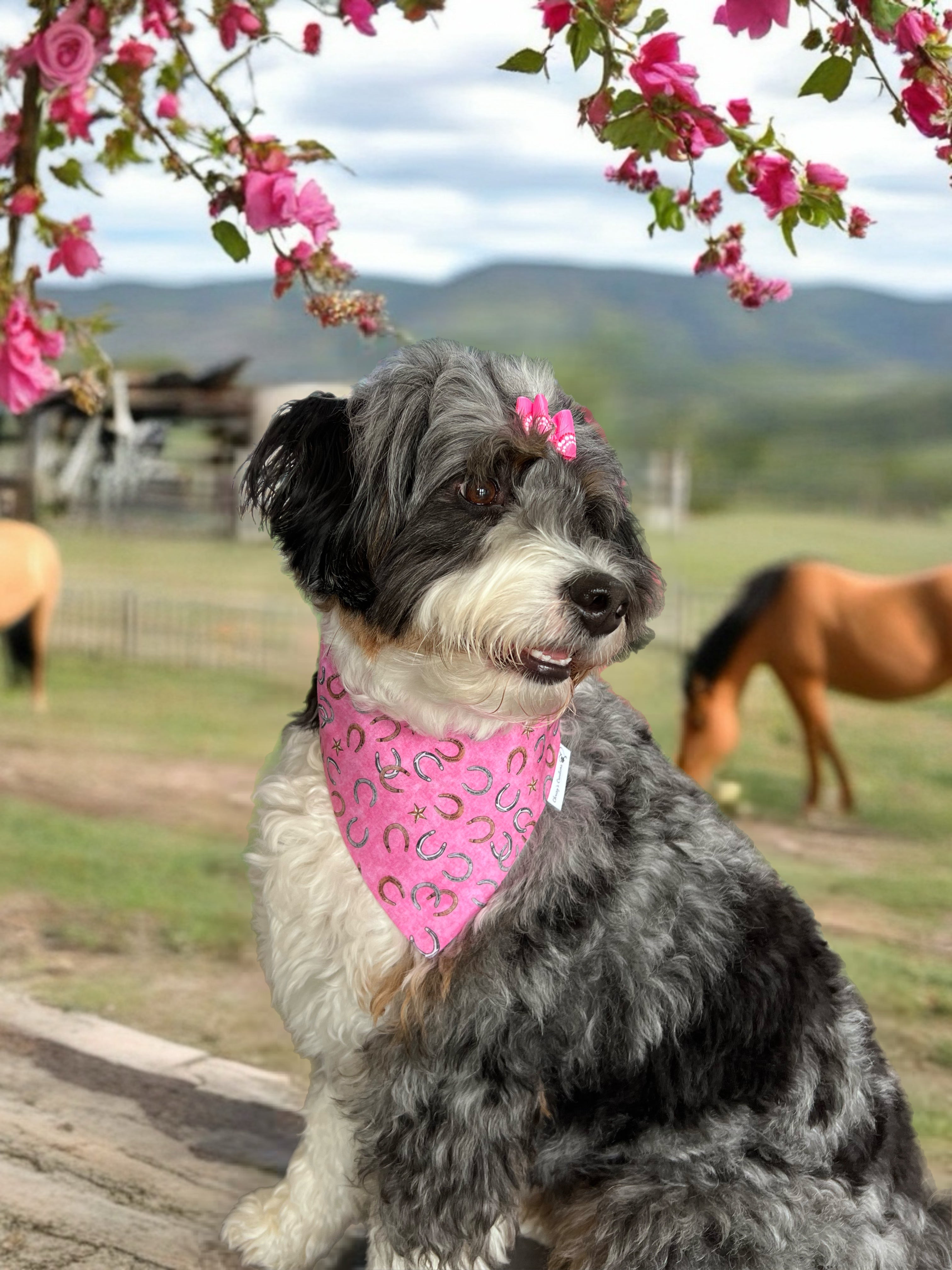 Horseshoe Pink Derby Dog Bandana or Bow : Scrunchie, Kentucky Derby