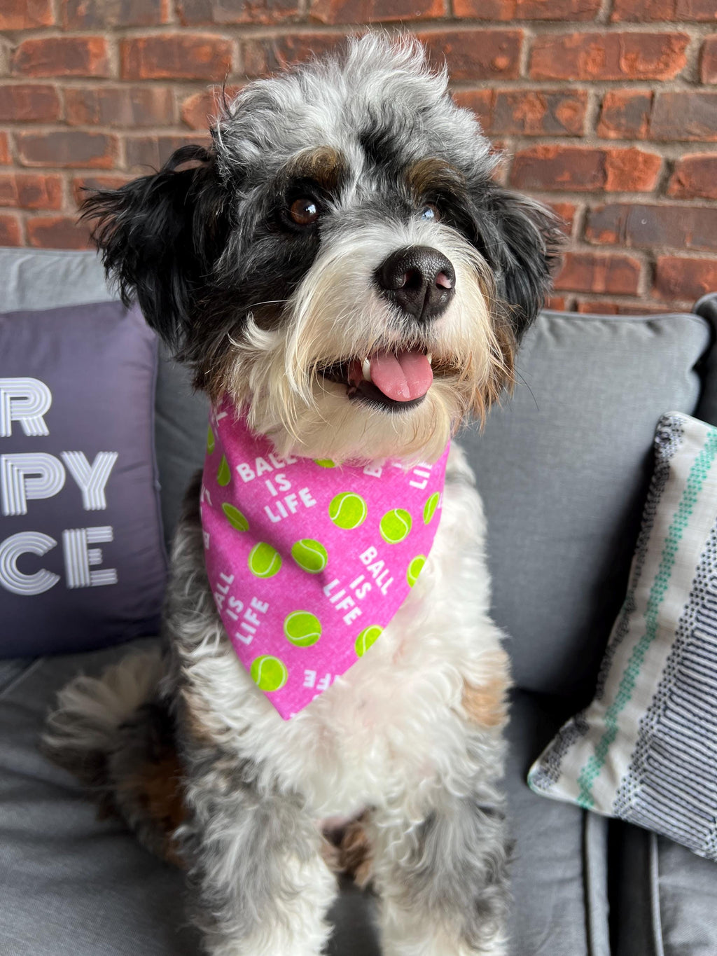Tennis Ball Dog Bandana: Over the Collar & Scrunchie, Pink or Navy, Ball is Life