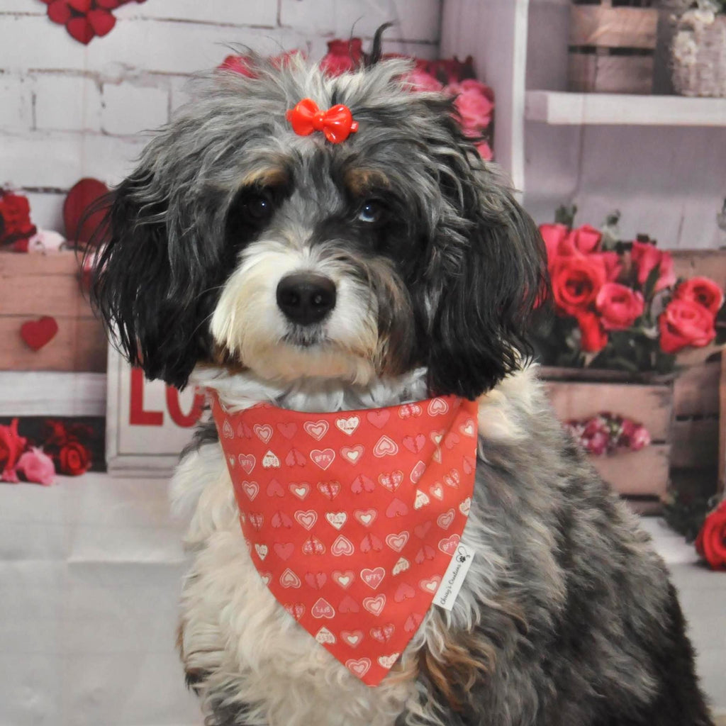 Valentine BFF Friends Heart Dog Bandana; Scrunchie