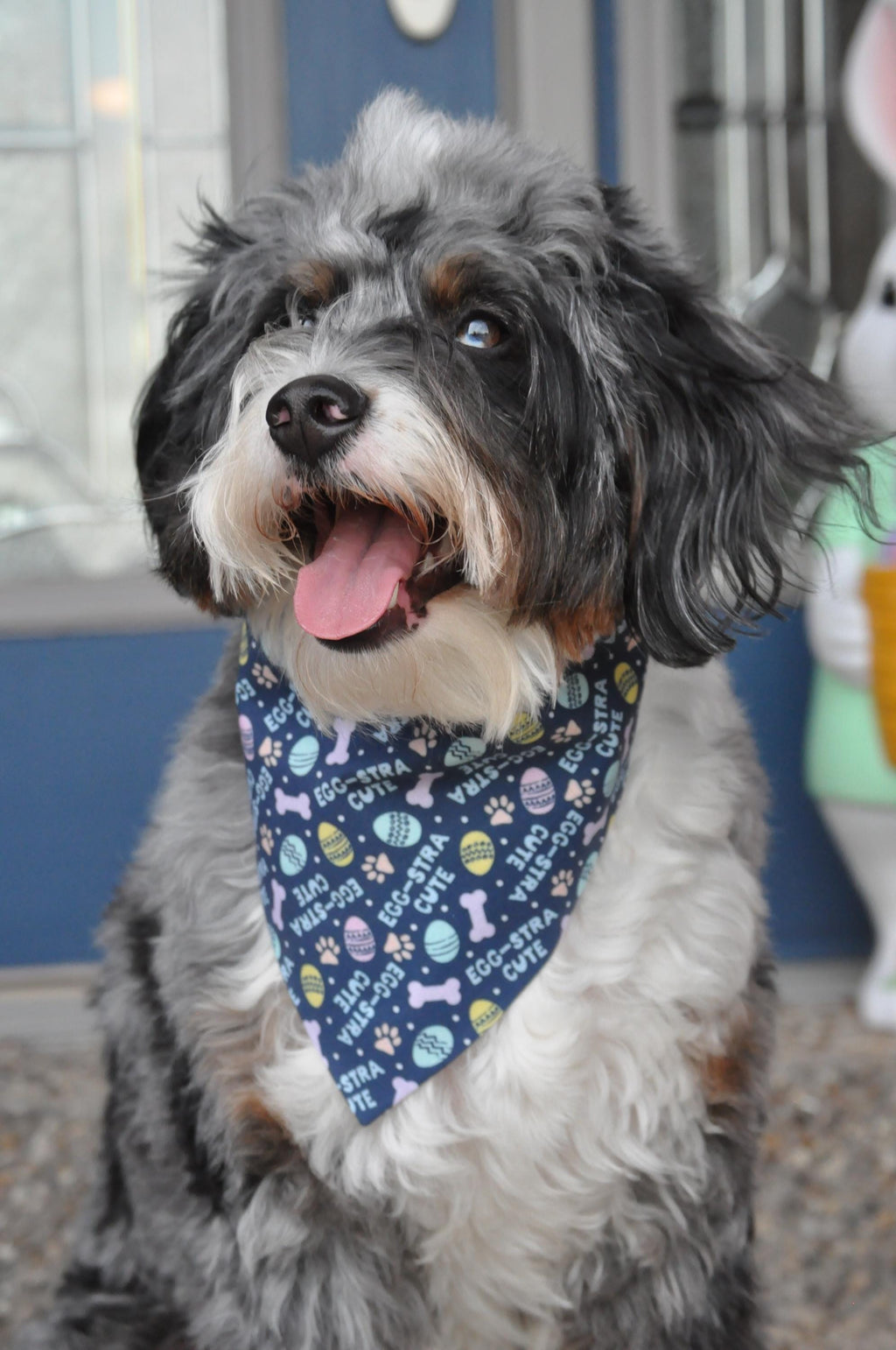 Easter Egg extra Cute Navy Pastels Dog Bandana Over the Collar Scrunchie Bandana Pastel Bones, Paws and Easter Eggs