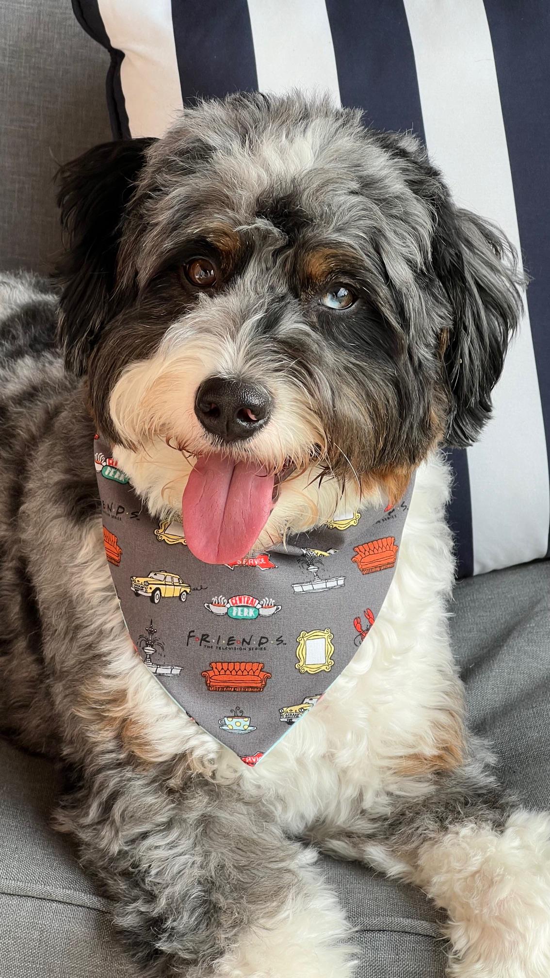 Friends My Lobster Scrunchie Dog Bandana Reversible Slip On  Two-Sided