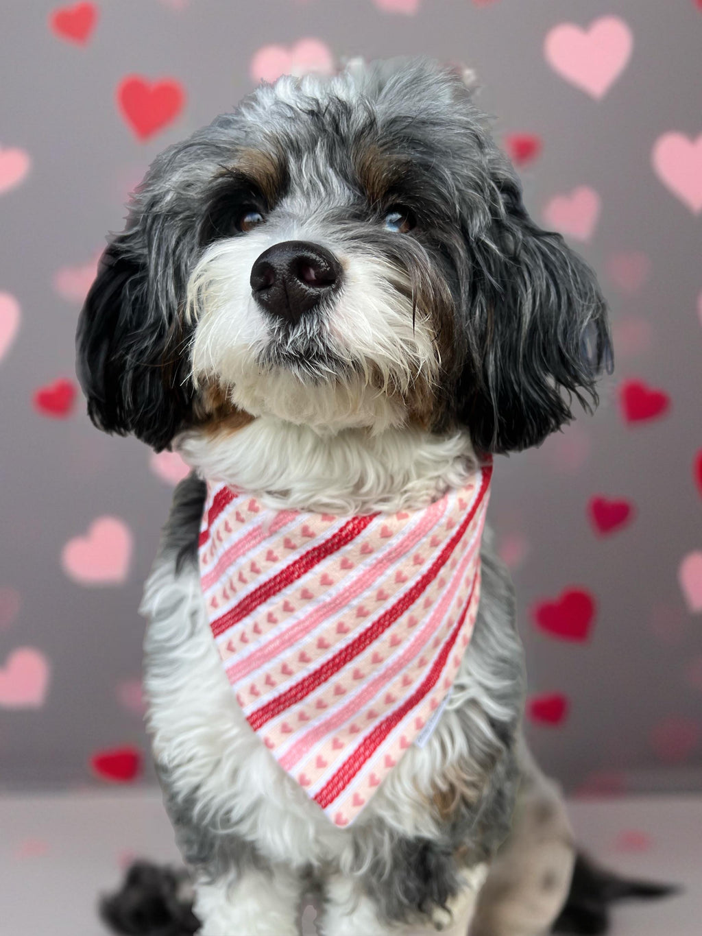 Valentine Hearts and Stripes Dog Bandana; Scrunchie Knitted Blend