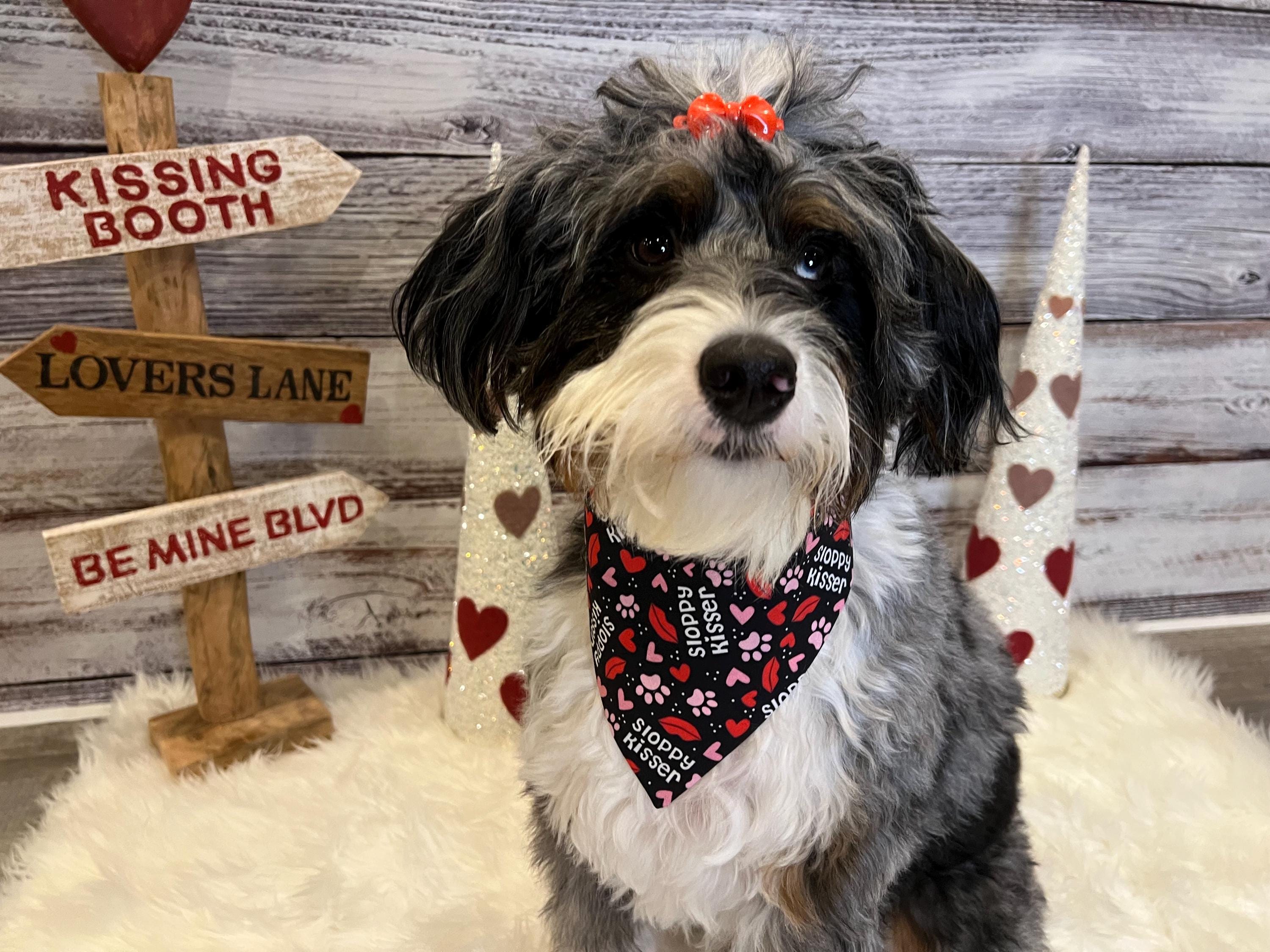 Dog Bandana: Sloppy Kisser Lips & Paws, Over the Collar or Scrunchie