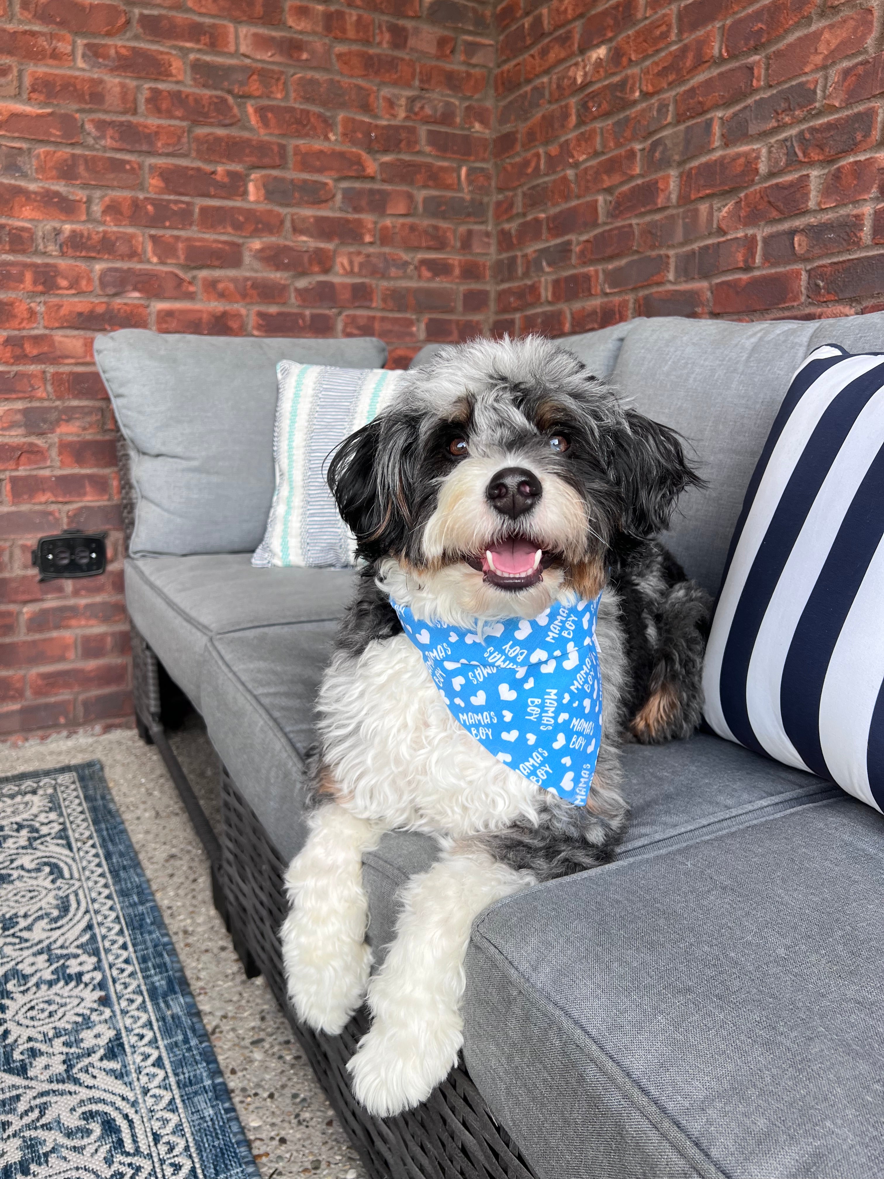 Mama's Boy or Girl Dog Bandana: Scrunchie Blue or Pink Hearts