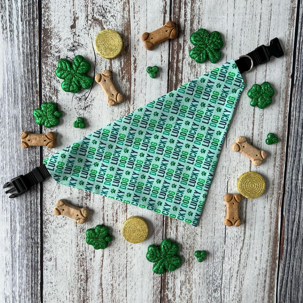 St Patrick's Dog Bandana: Lucky Dog Paw Print Scrunchie & Over the Collar