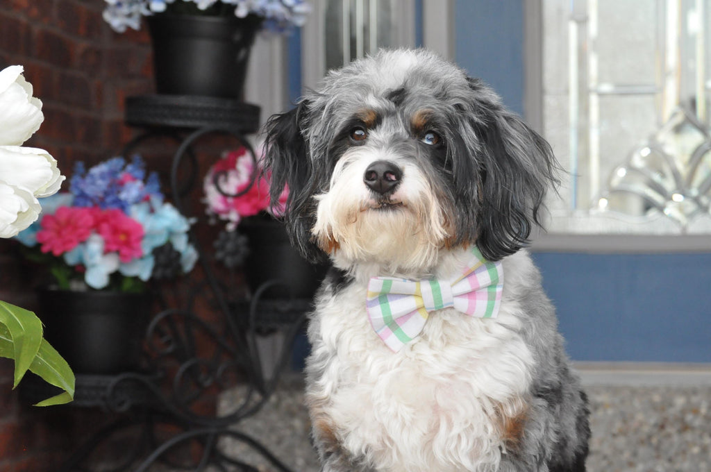 Easter Plaid Pastel Dog Bandana Over the Collar, Bow Tie, Scrunchie Bandana, Pink Purple Mint Green Yellow Blue