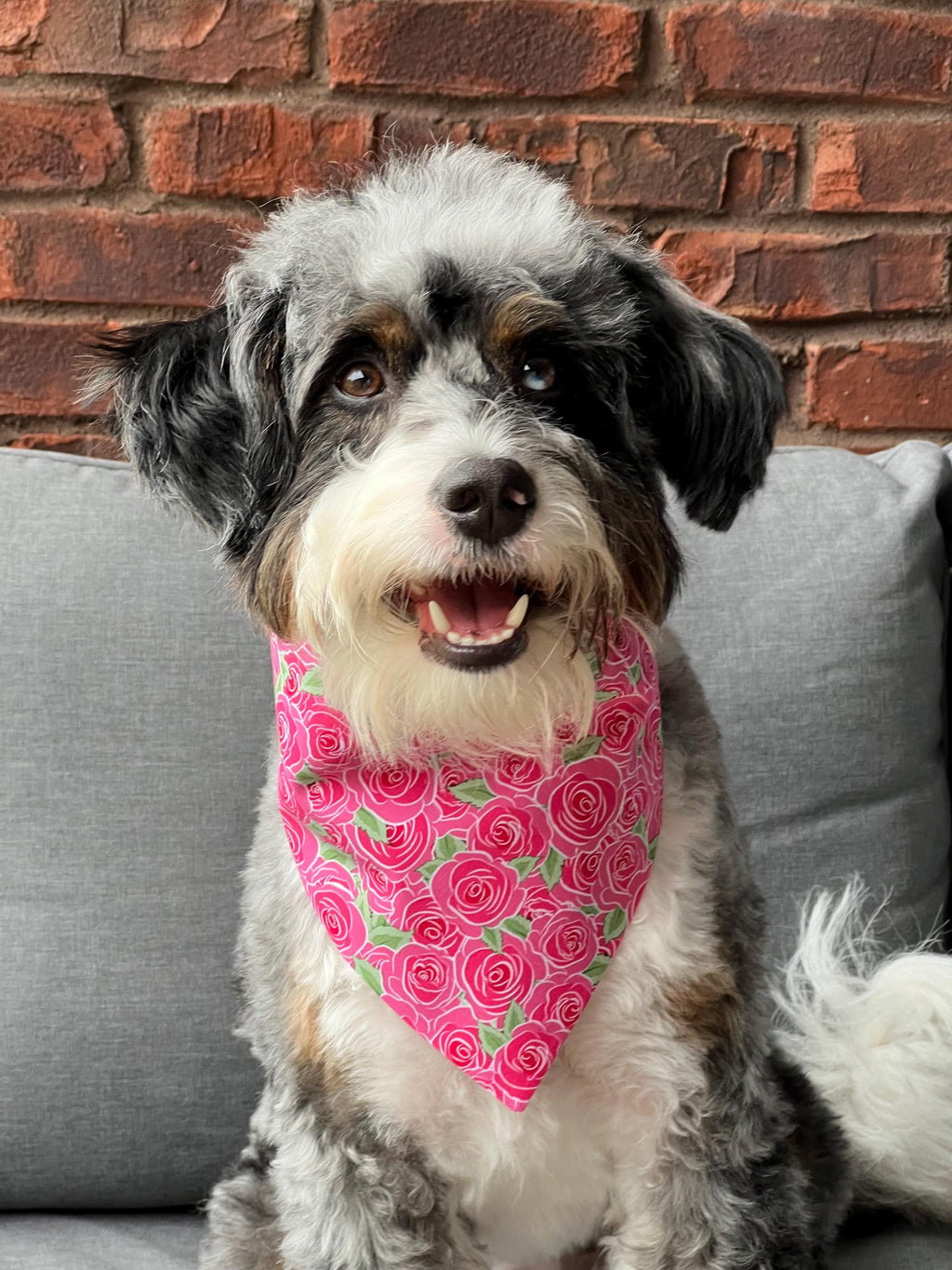 Roses Dog Bandana: Scrunchie Bandana, Sailor and Bow Tie