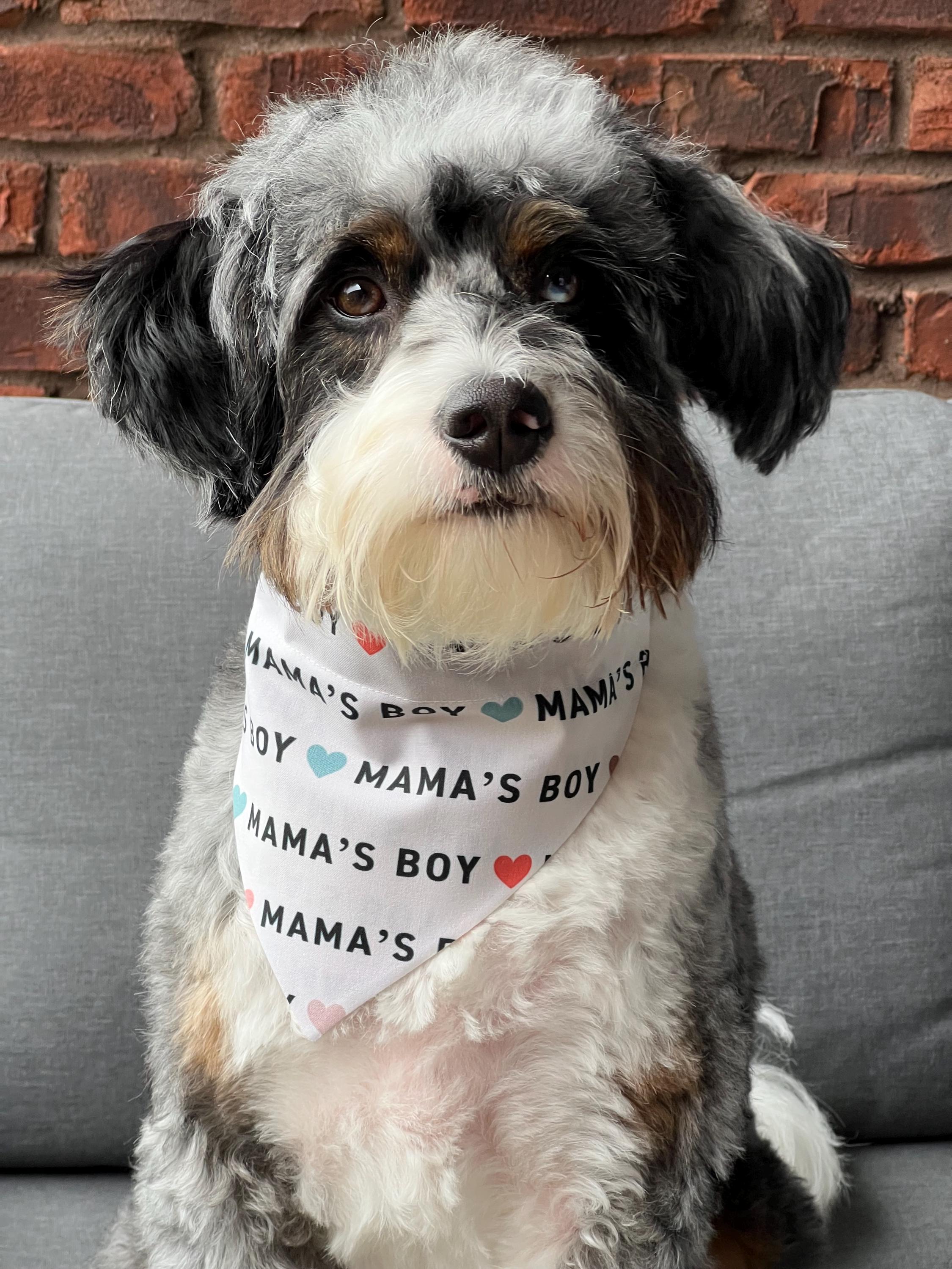 Mama's Boy Dog Bandana: Neutral Boho Hearts, Over the Collar & Scrunchie