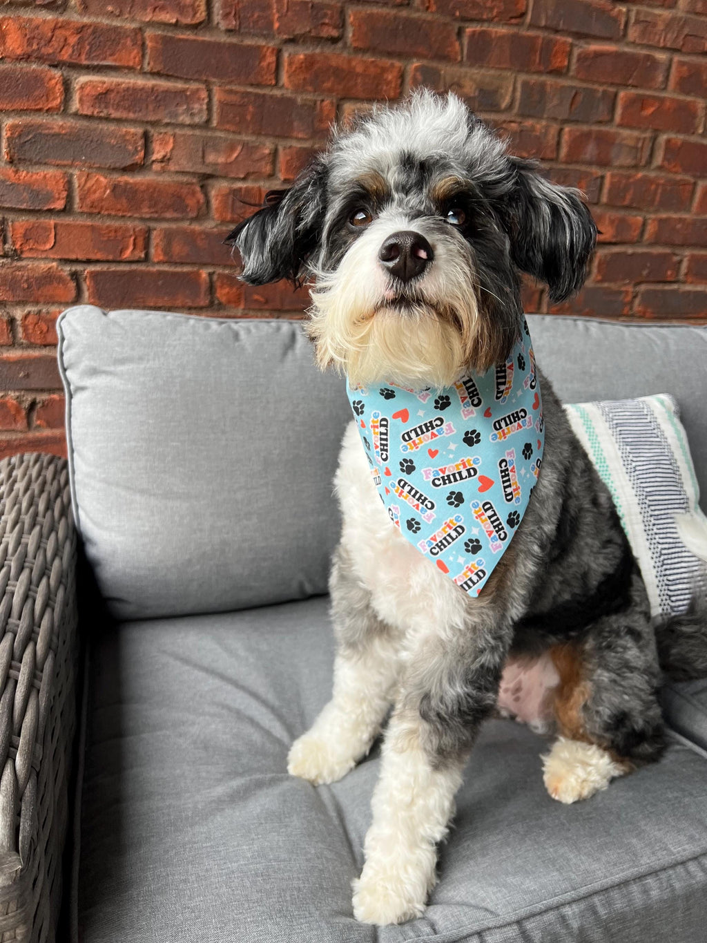 Turquoise Dog Bandana: Favorite Child Over the Collar & Scrunchie