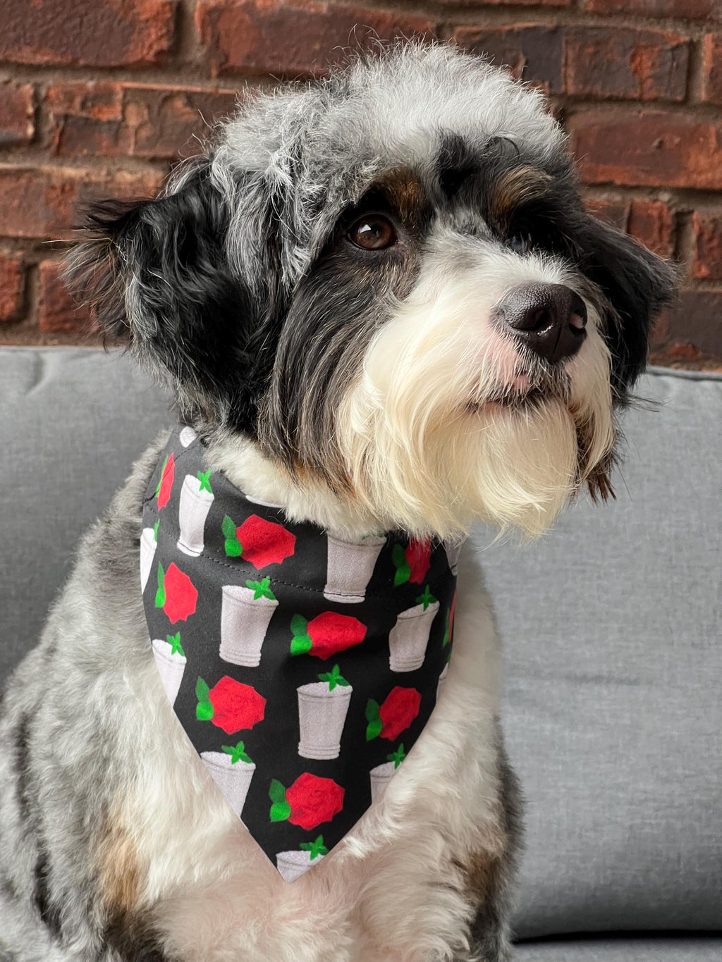 Derby Mint Juleps and Roses Black Dog Bandana Over the Collar Scrunchie Kentucky