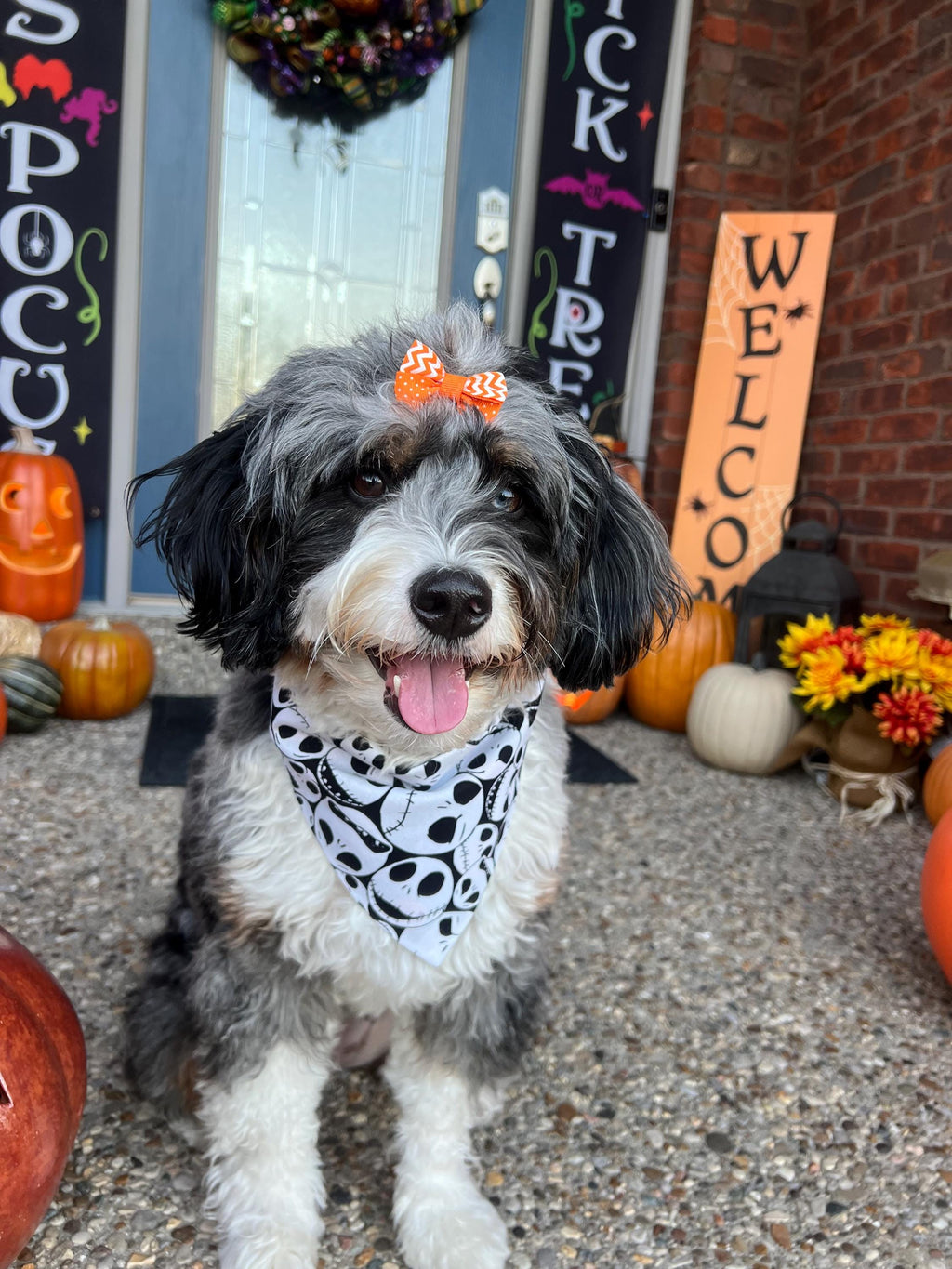 Jack Skellington Scrunchie Dog Bandana: Reversible Halloween Nightmare
