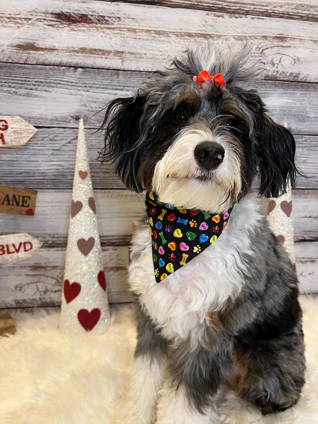 Conversation Hearts Black Pink Red Dog Bandana Over the Collar Bandana Scrunchie Bandana Valentine