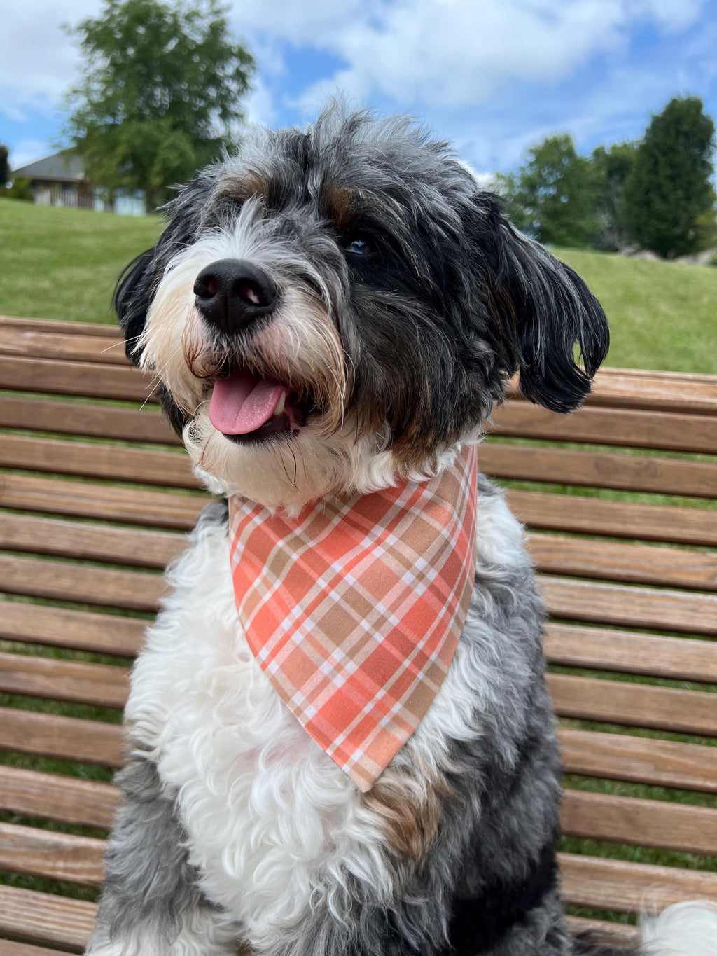 Fall Dog Bandana Sweater Weather Plaid Reversible Scrunchie Bandana Bow Tie Orange Tan Autumn