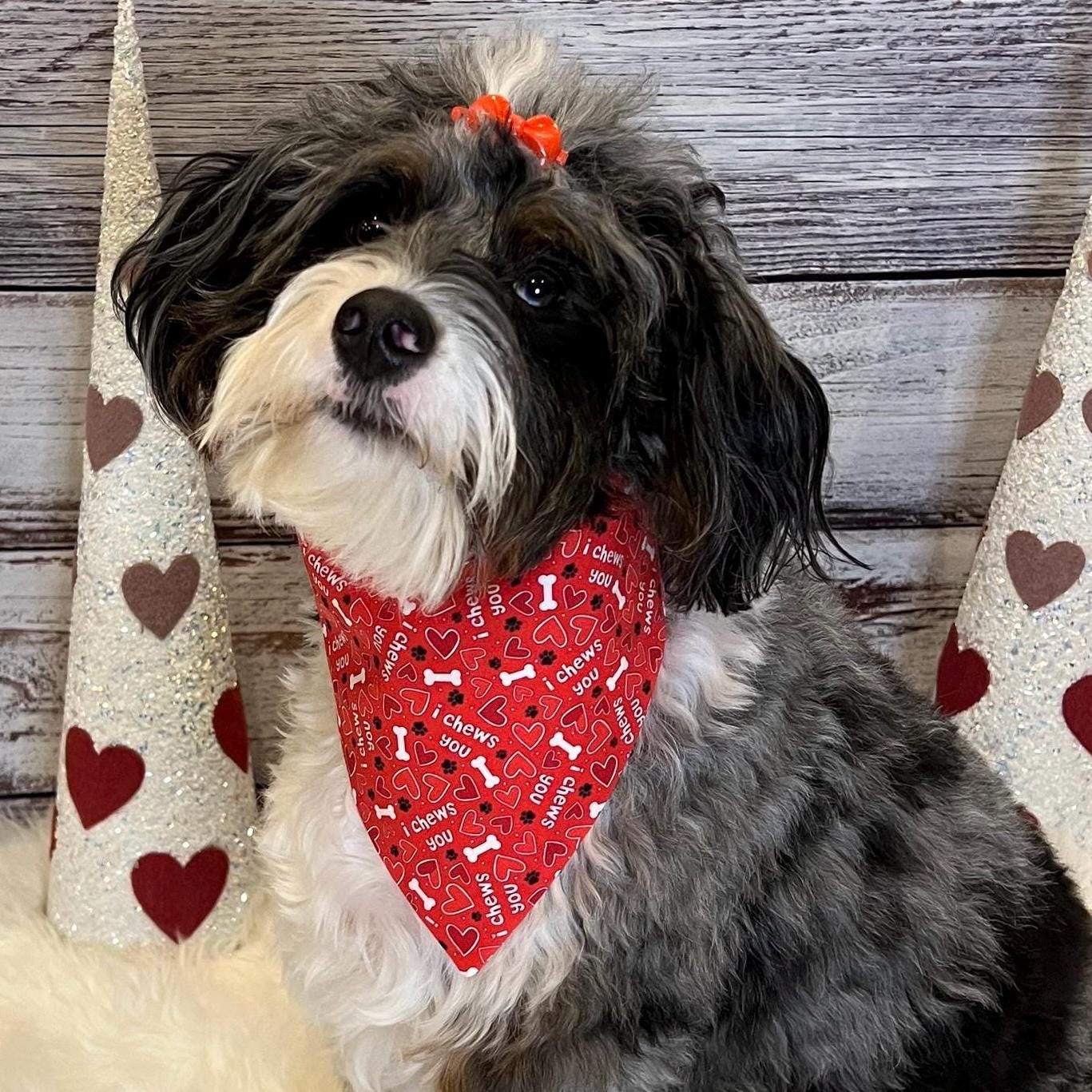 I Chews You Dog Bandana: Red Over the Collar or Scrunchie Bandana