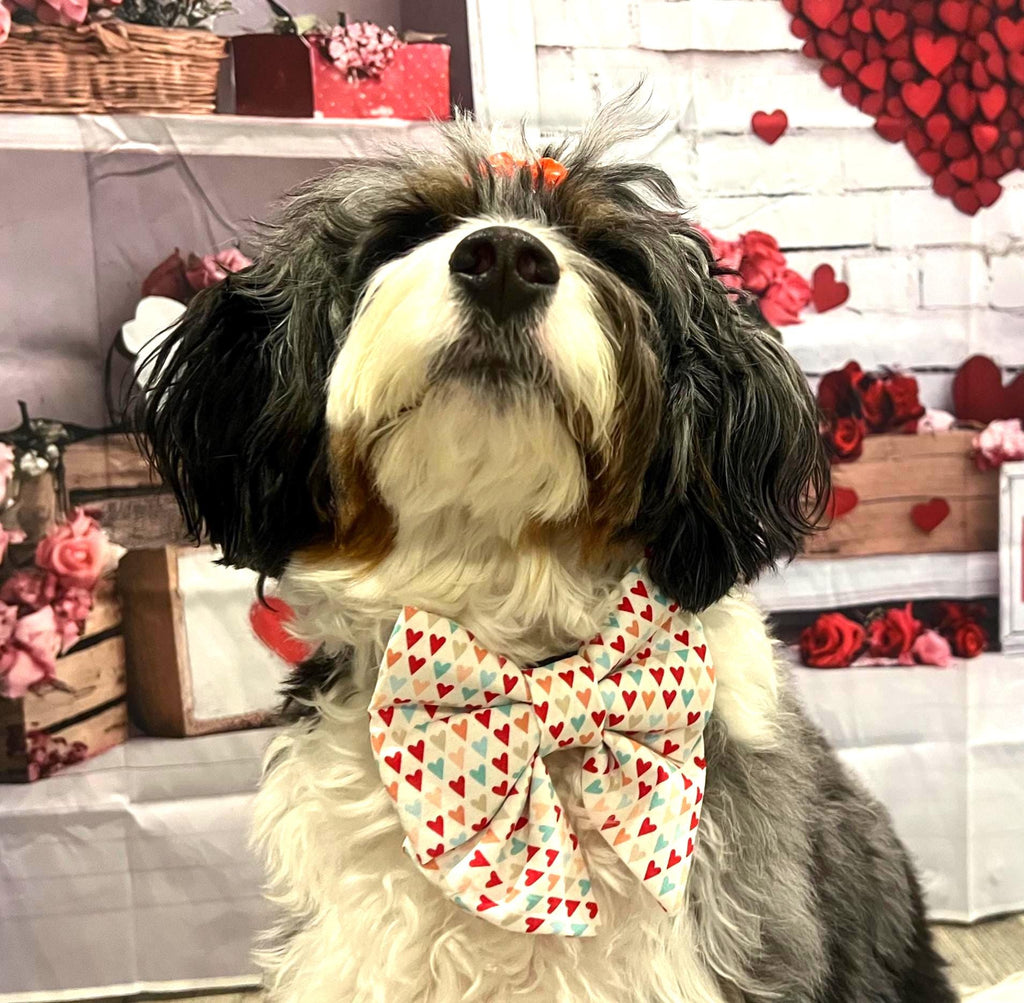 Valentine Hearts Amore Dog Bandana and Bow Tie; Scrunchie