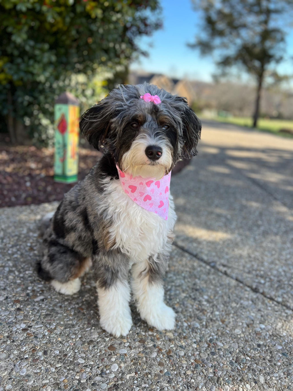 Valentine Pink Hearts Glitter Dog Bandana: Over the Collar or Scrunchie Style