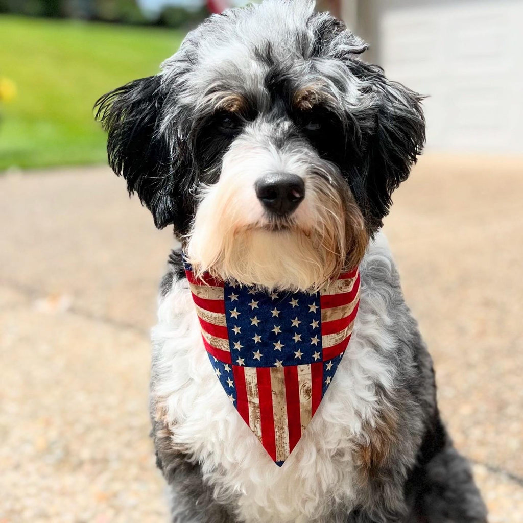 USA American Flag Patriotic Dog Bandana, Bow Tie - Over the Collar