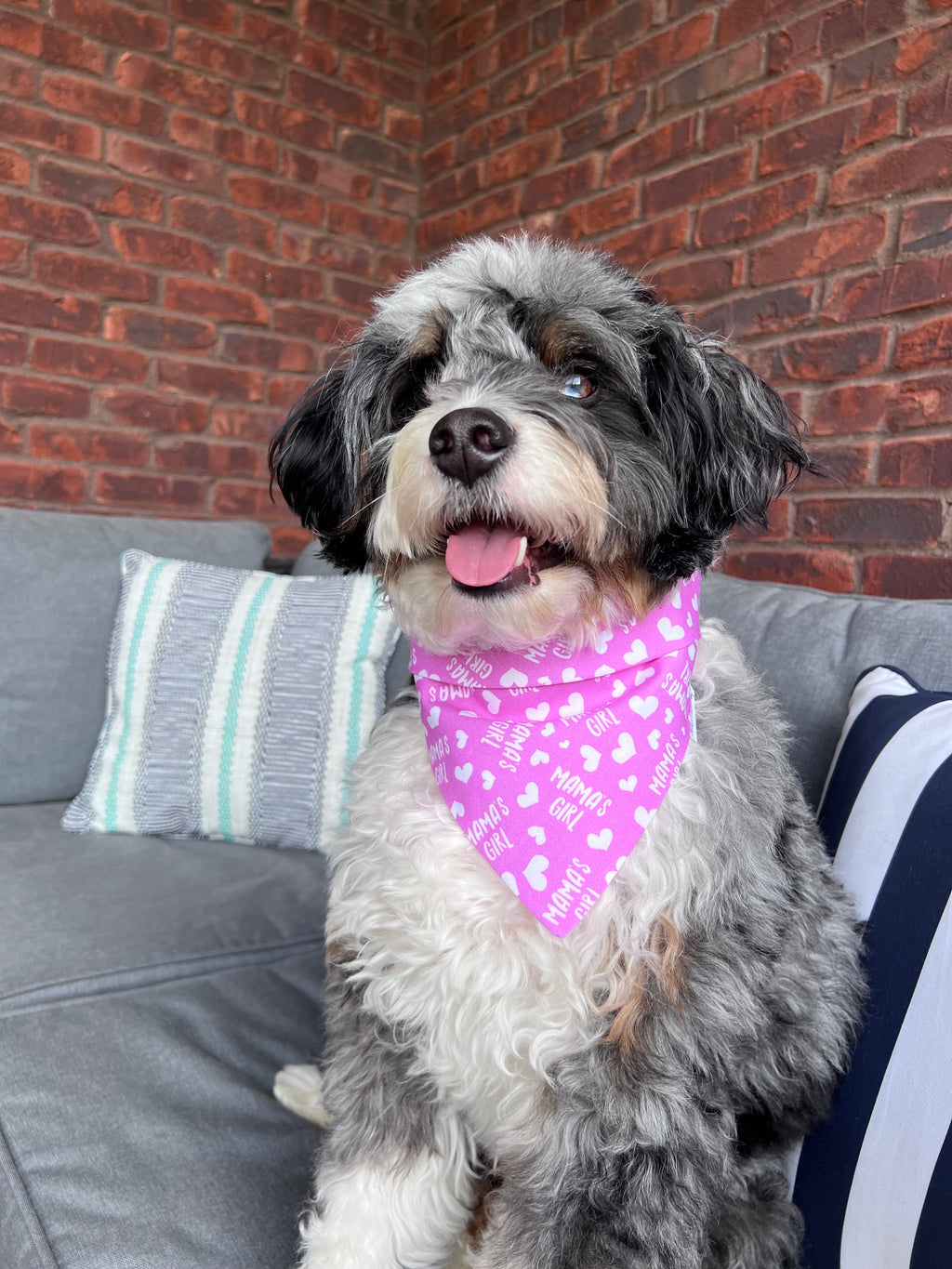 Mama's Boy or Girl Dog Bandana: Scrunchie Blue or Pink Hearts