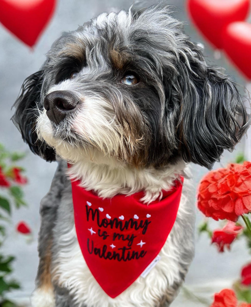 Mommy is my Valentine Dog Bandana: Scrunchie, Embroidered