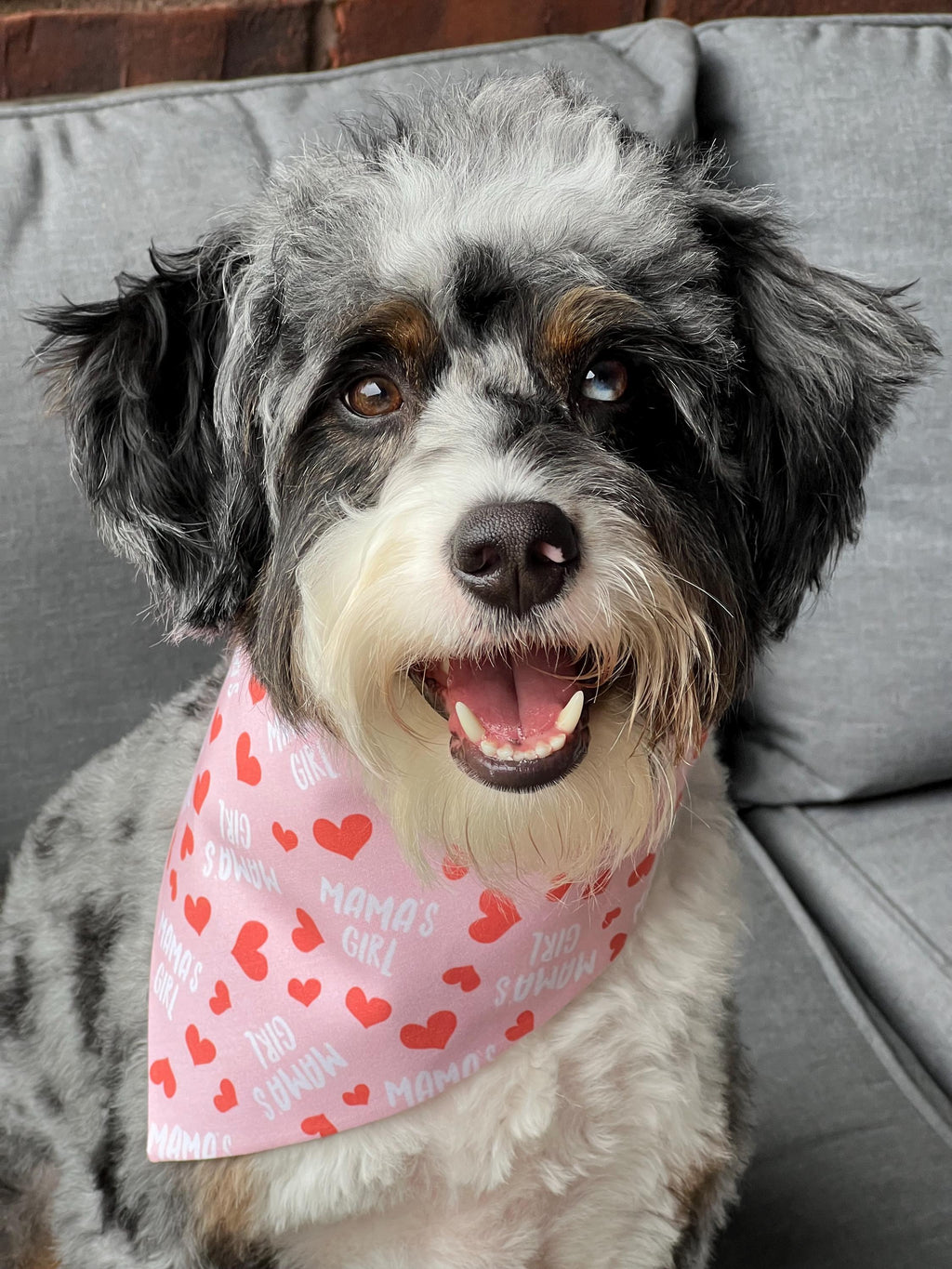 Mama's Girl Red Hearts Dog Bandana Over the Collar Scrunchie Mother's Day Mom