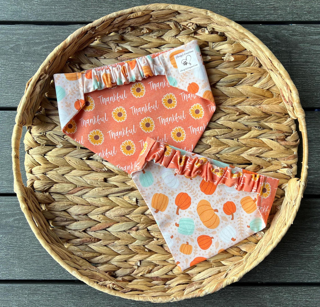 Thankful Dog Bandana: Reversible Scrunchie with Fall Pumpkins & Sunflowers