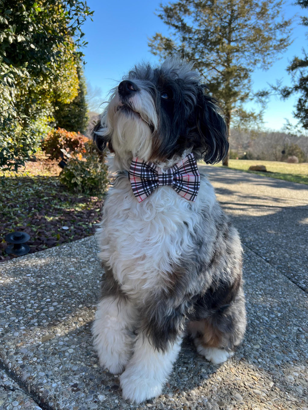 Luxe Couture Furberry Tartan Plaid Dog Bandana Bow Tie: Over the Collar & Scrunchie