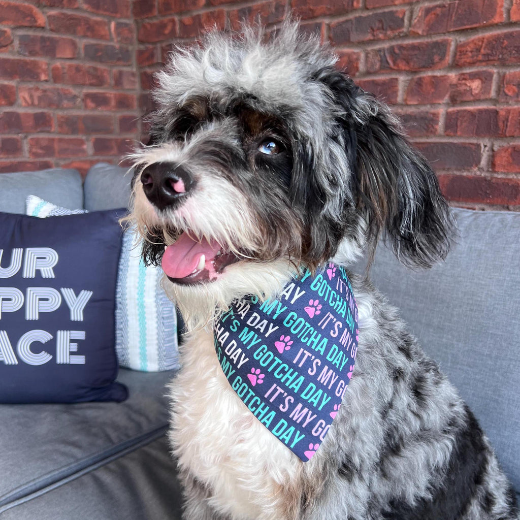 Gotcha Day Dog Bandana: Navy Over the Collar