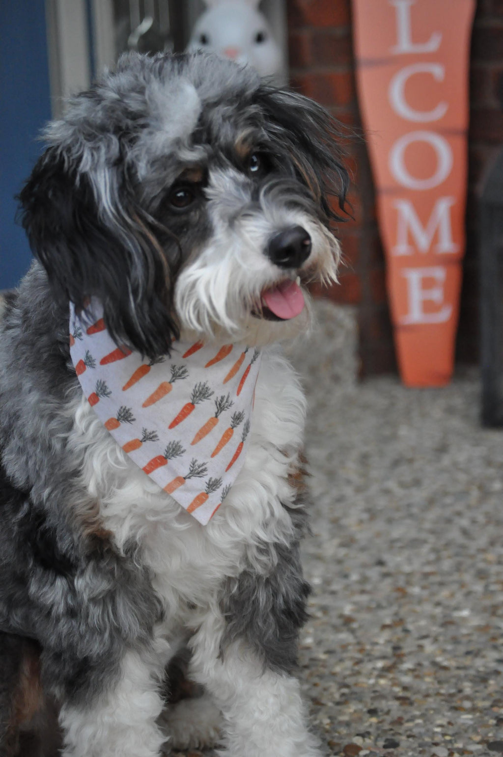 Carrots Boho Neutrals Dog Bandana Over the Collar Scrunchie Bandana Easter Farmers Market