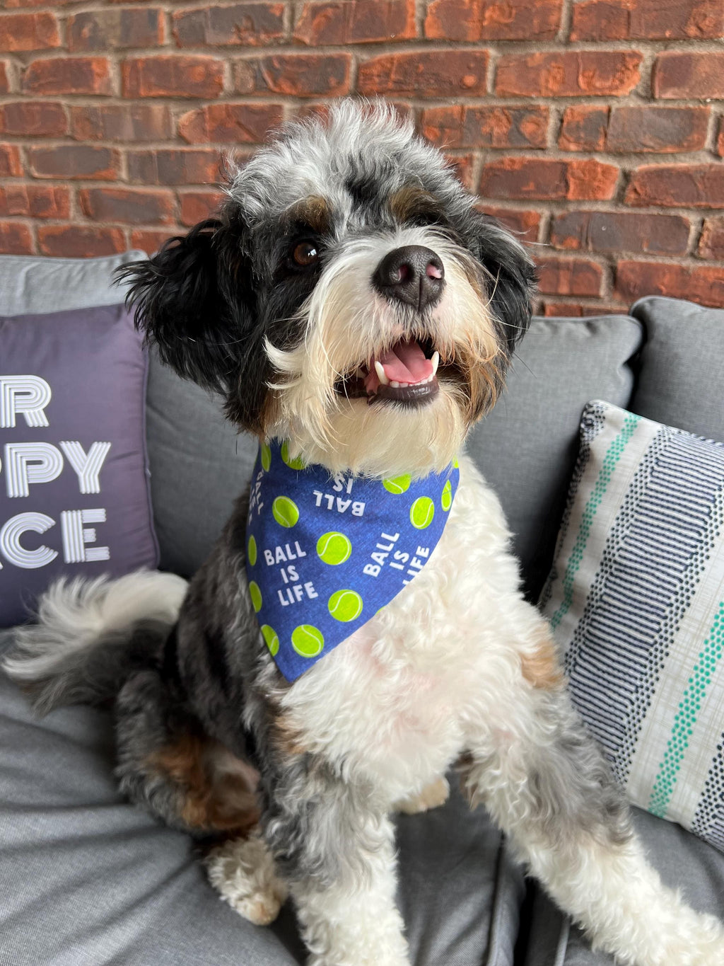 Tennis Ball Dog Bandana: Over the Collar & Scrunchie, Pink or Navy, Ball is Life