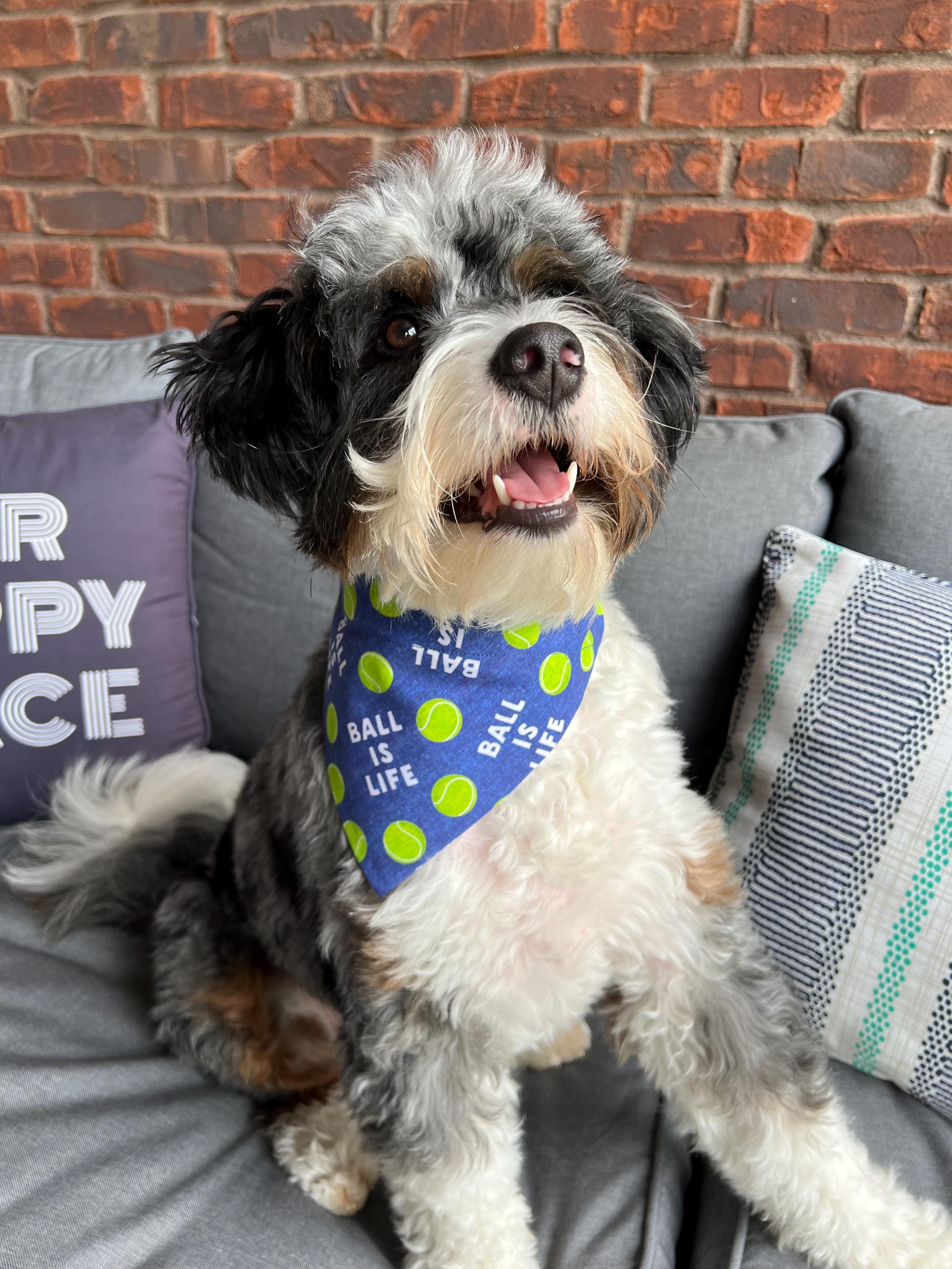 Tennis Ball Dog Bandana: Over the Collar & Scrunchie, Pink or Navy, Ball is Life