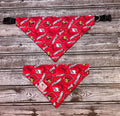 Louisville Dog Bandana  Over the Collar Bandana Cardinal