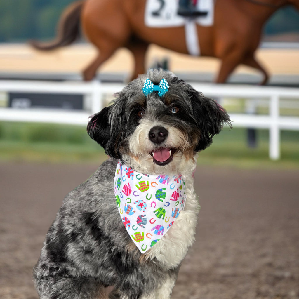 Derby Jockey Silks Dog Bandana: Scrunchie, Kentucky