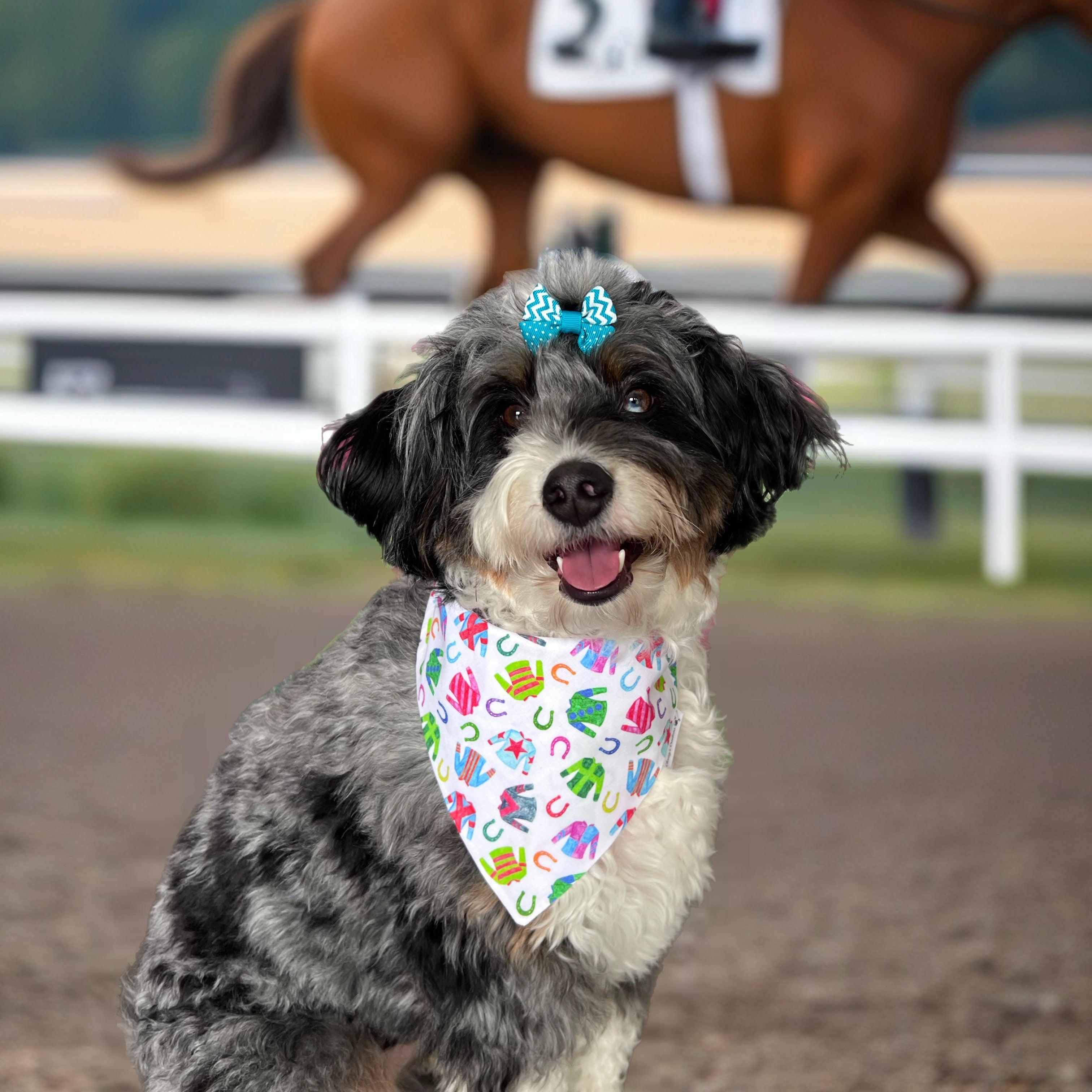 Derby Jockey Silks Dog Bandana: Scrunchie, Kentucky