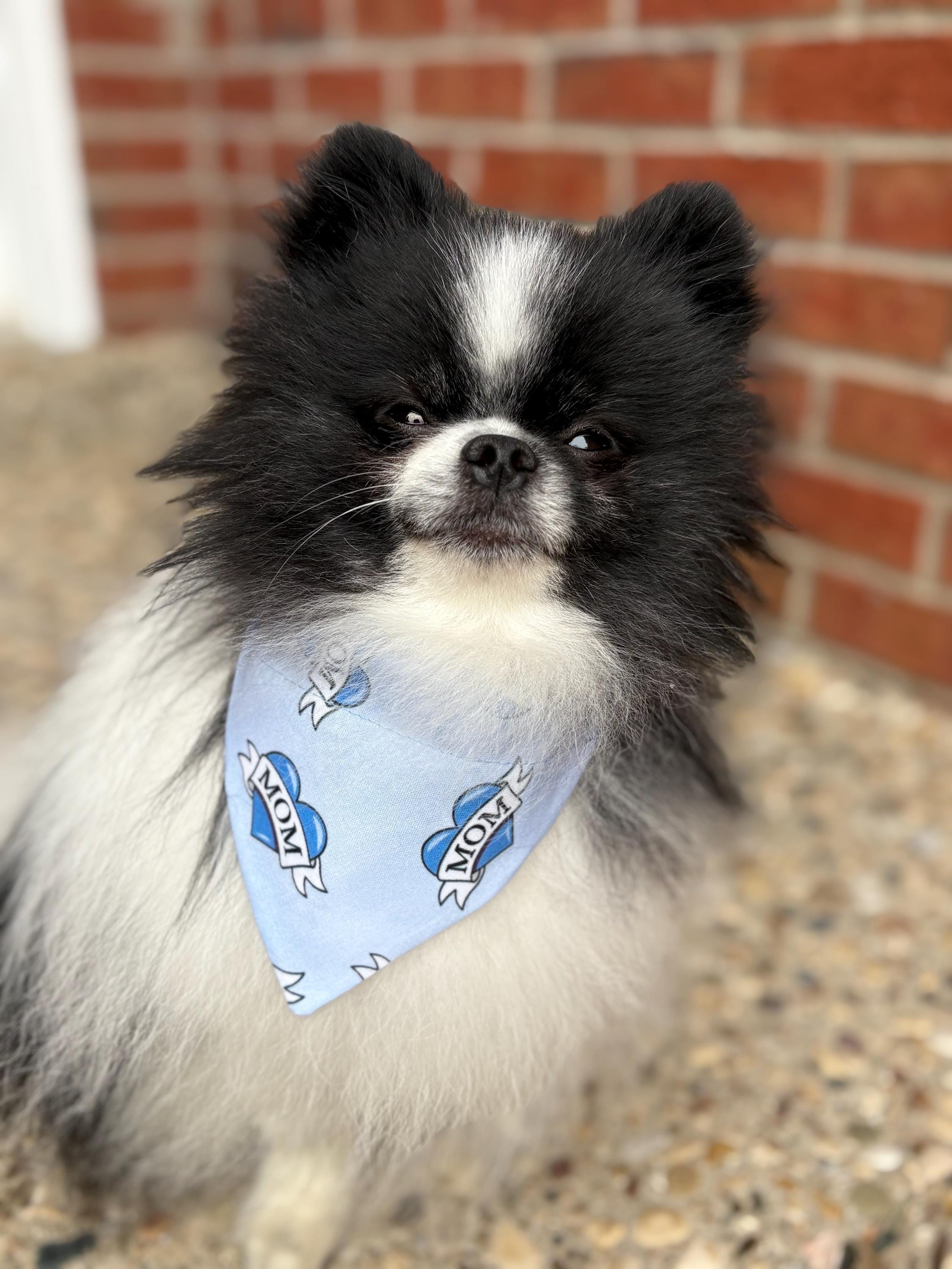 Mom Heart Tattoo Blue Hearts Dog Bandana Over the Collar Scrunchie Mother's Day Mom