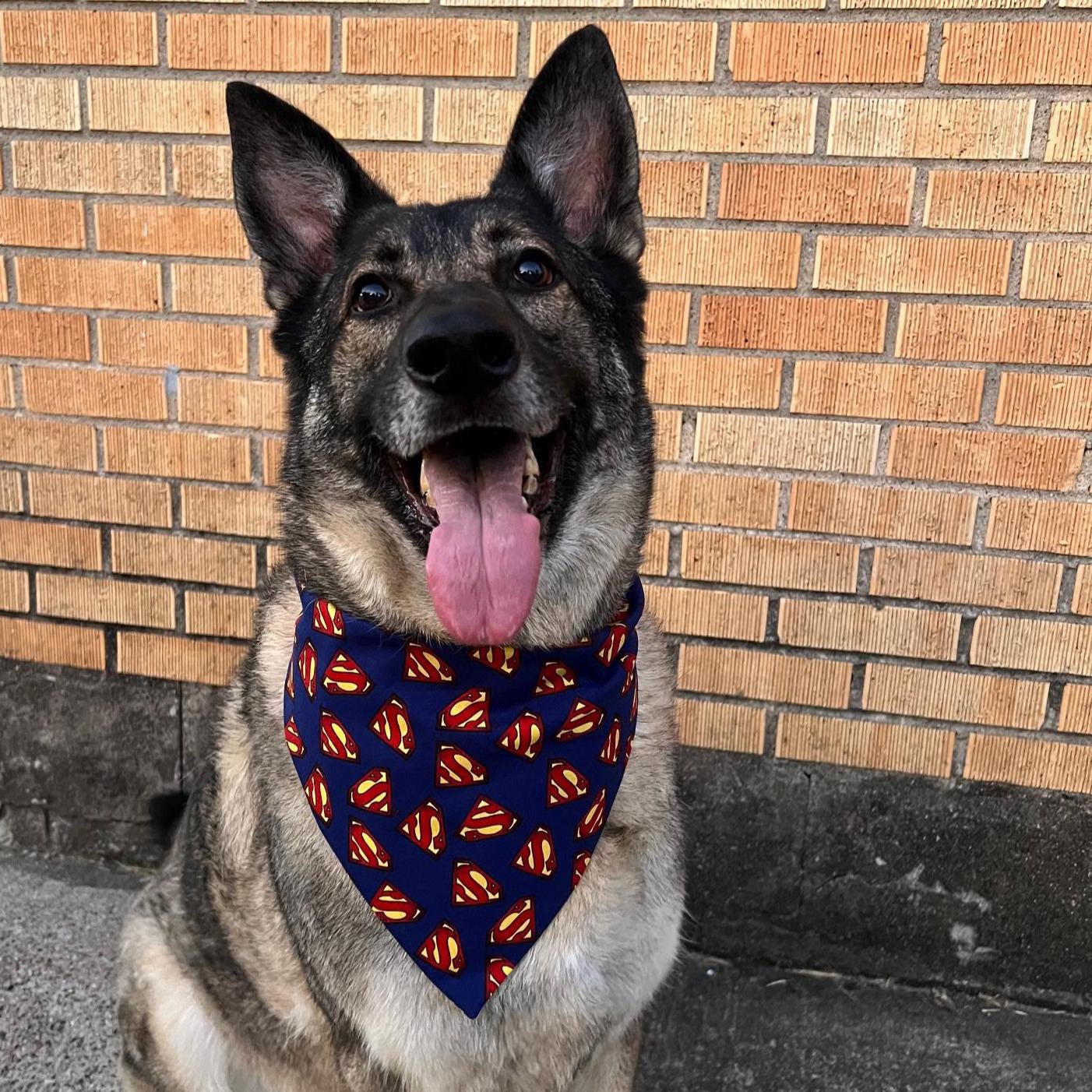 Superhero Superman Dog Bandana Scrunchie Red and Blue