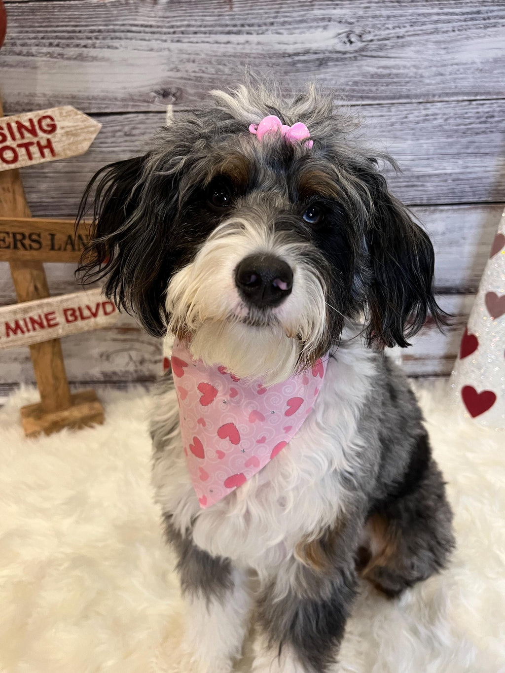 Valentine Pink Hearts Glitter Dog Bandana: Over the Collar or Scrunchie Style