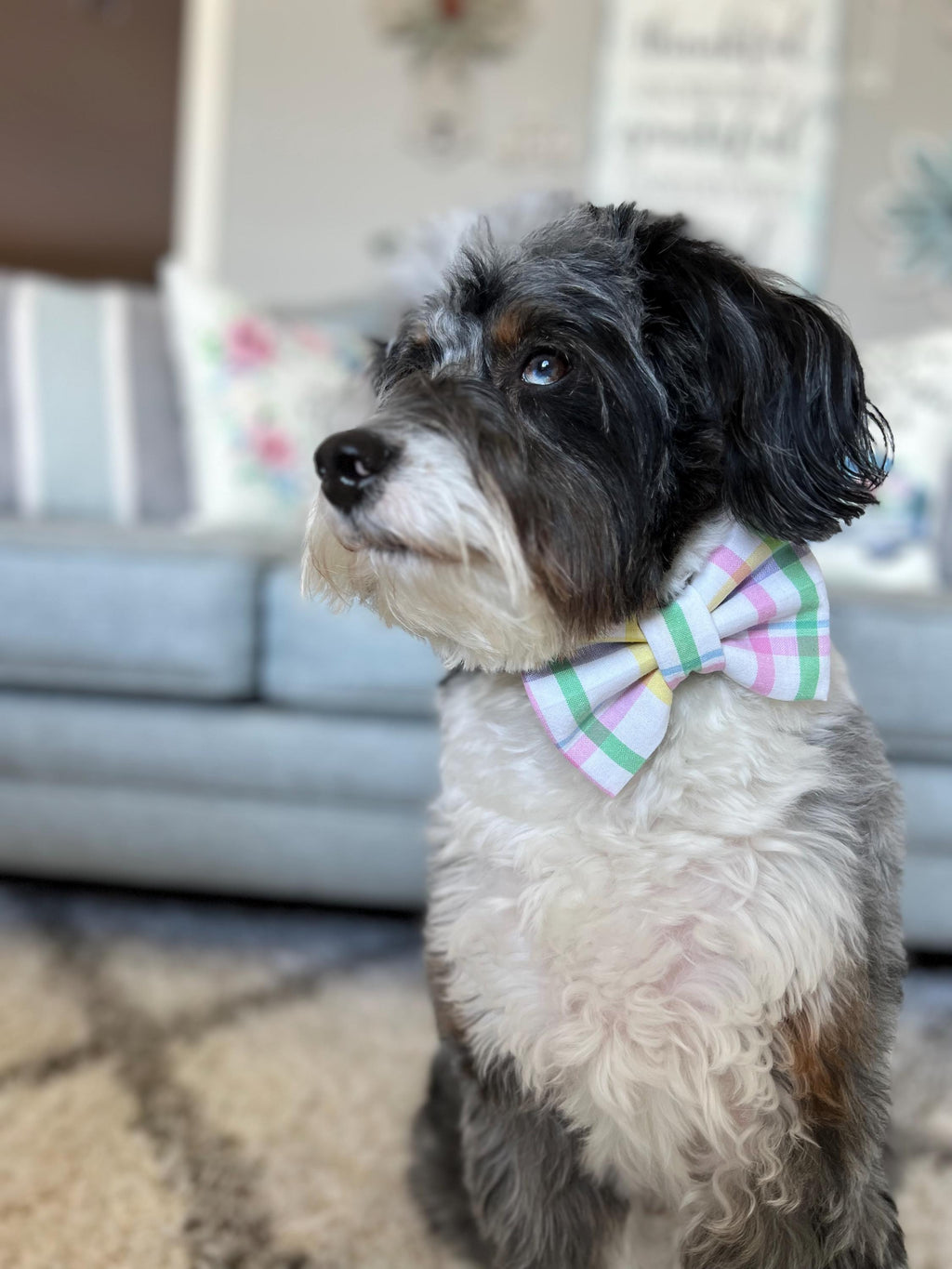 Easter Plaid Pastel Dog Bandana Over the Collar, Bow Tie, Scrunchie Bandana, Pink Purple Mint Green Yellow Blue