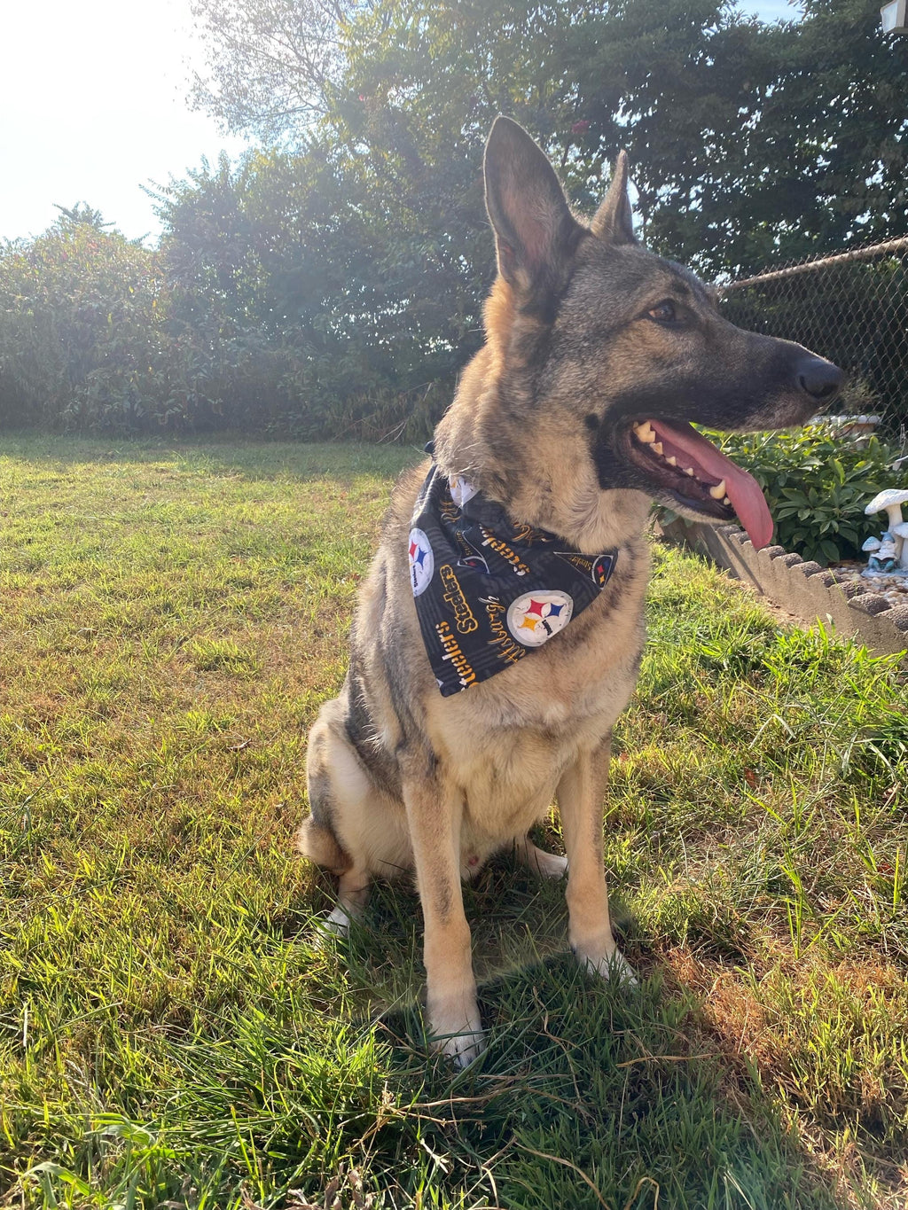 Steelers Dog Bandana Over the Collar (collar not included) Black Yellow