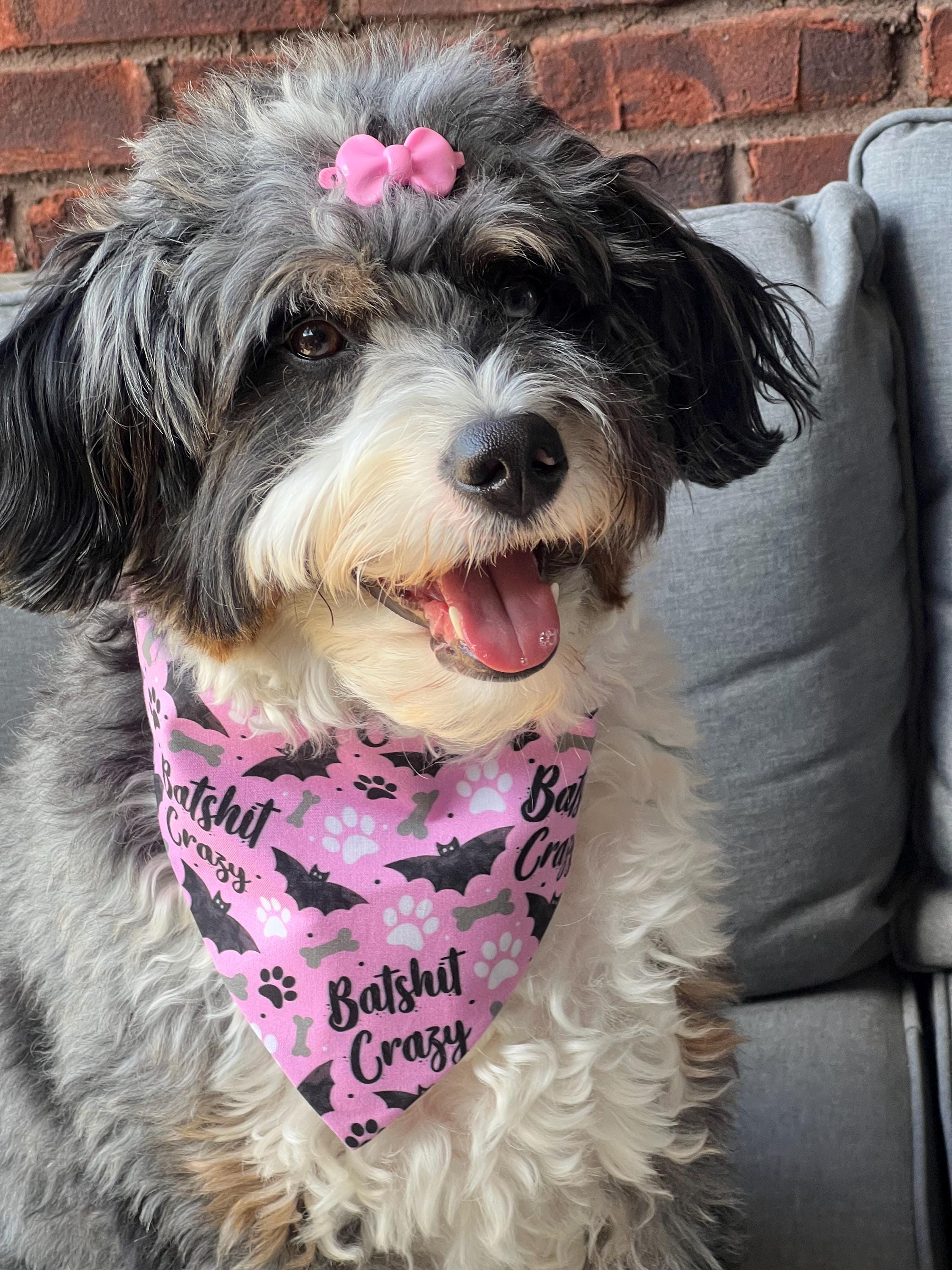 Halloween Batshit Crazy Dog Bandana Scrunchie: Spooky Bats, Bones and Paws