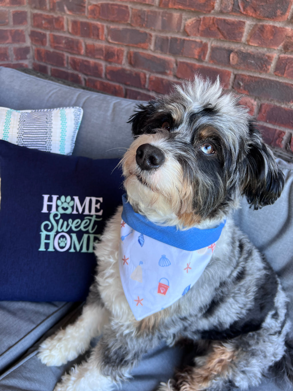 Sand and Sea Baby Whale Applique Dog Bandana: Scrunchie, Embroidered Beach Personalized Blue