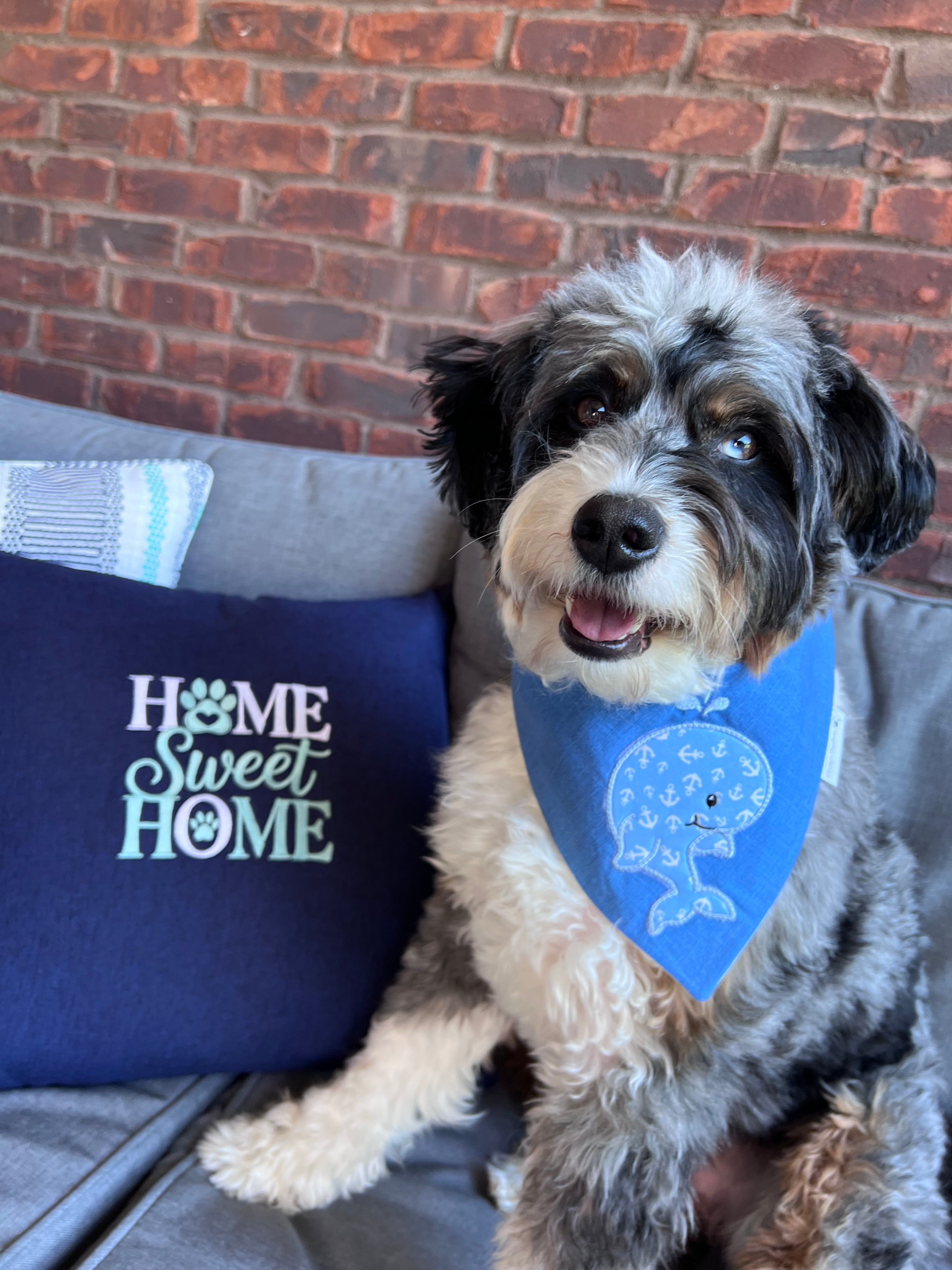 Sand and Sea Baby Whale Applique Dog Bandana: Scrunchie, Embroidered Beach Personalized Blue