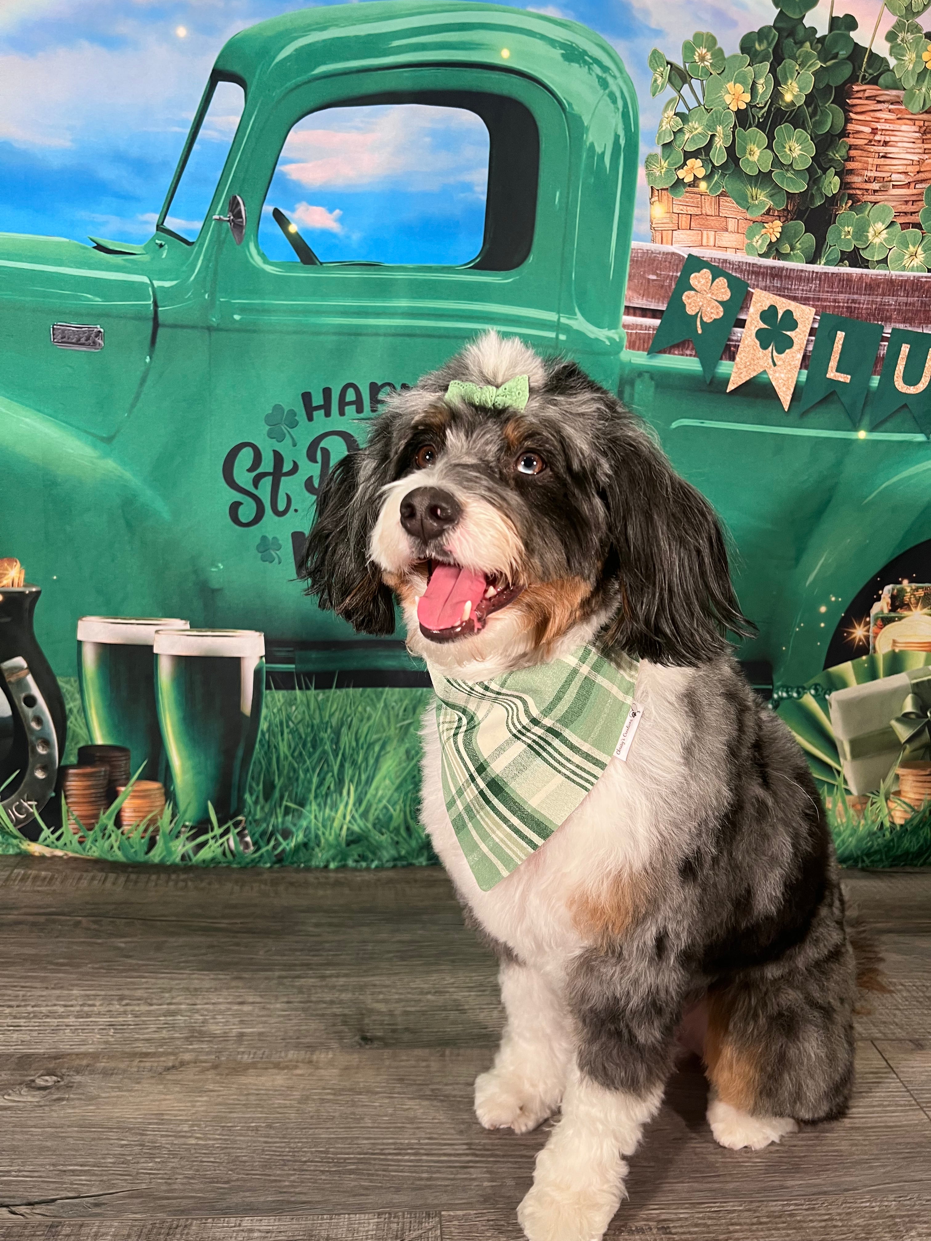 St Patrick's Plaid Dog Bandana: Scrunchie and Over-the-Collar Bow Tie Green Plaid