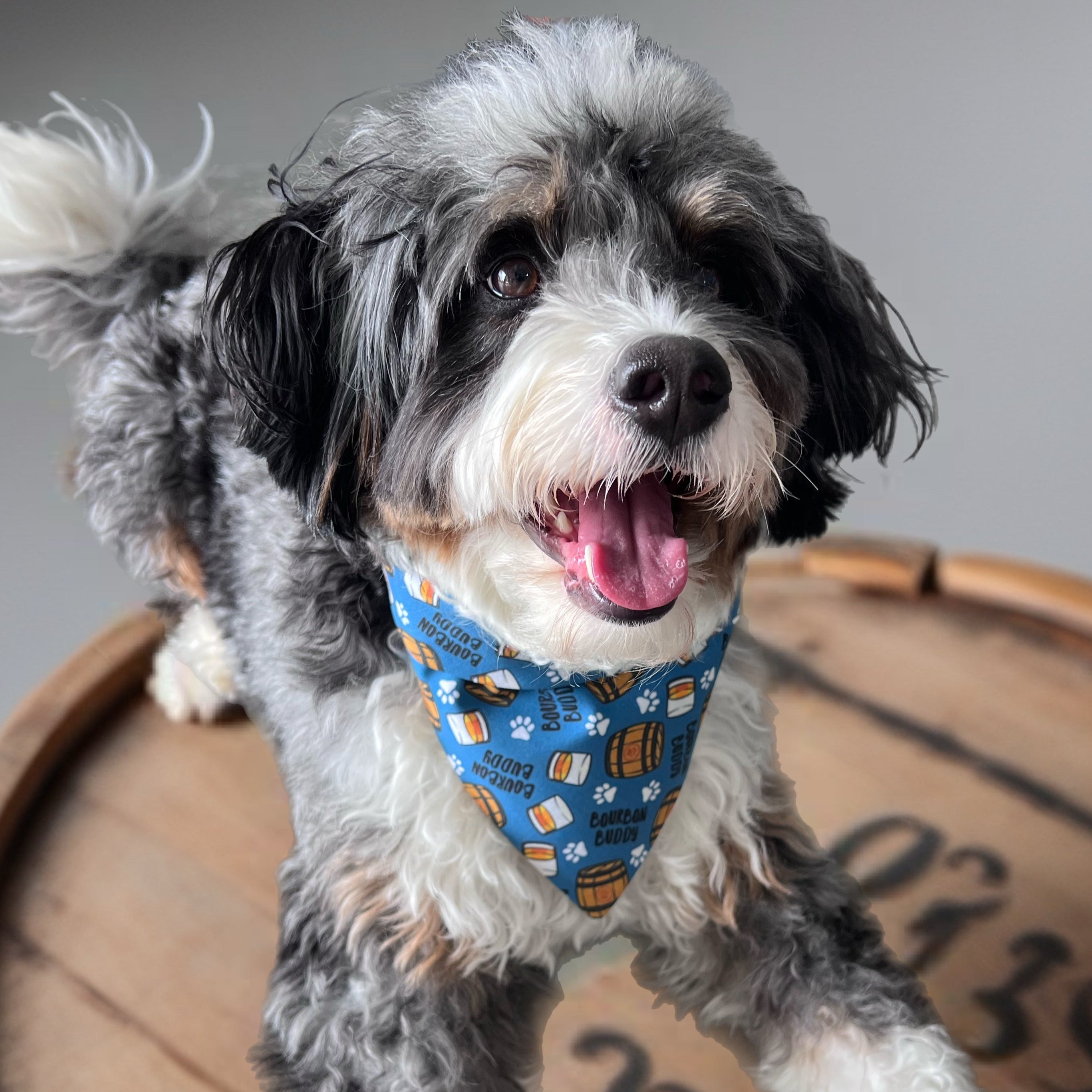 Bourbon Buddy Dog Bandana: Scrunchie Kentucky Derby Barrel