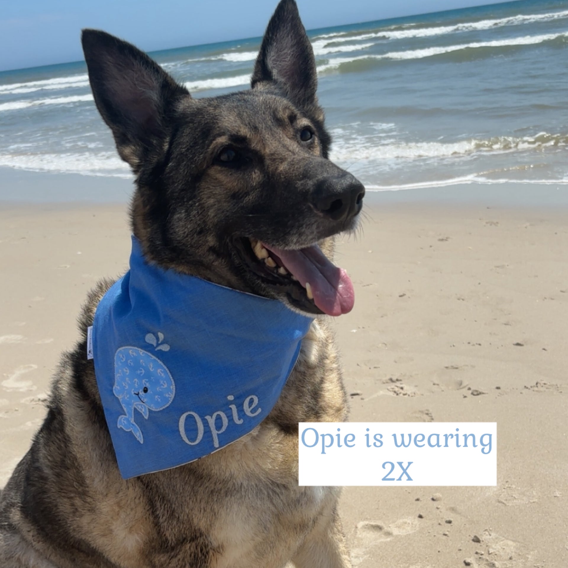 Sand and Sea Baby Whale Applique Dog Bandana: Scrunchie, Embroidered Beach Personalized Blue