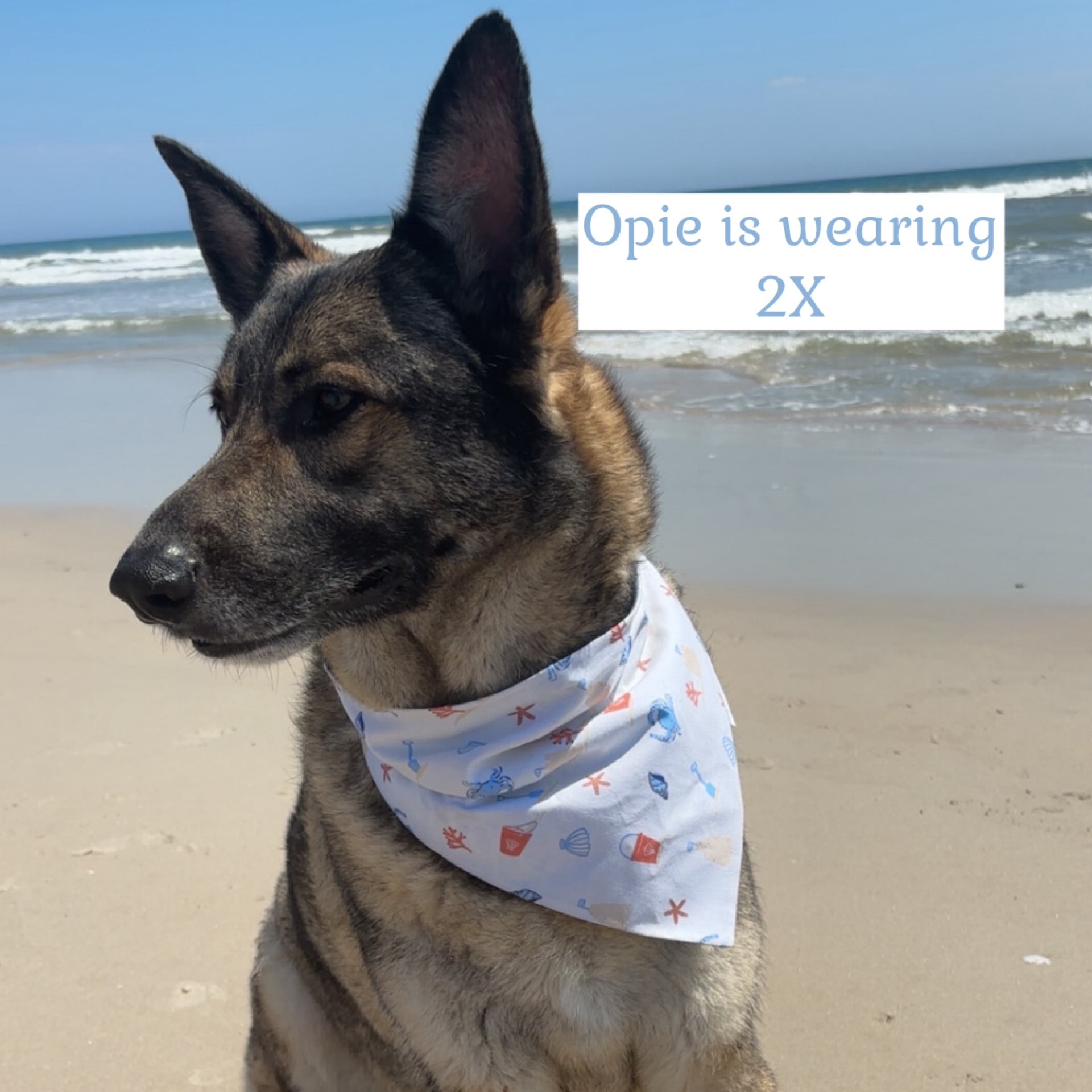 Sand and Sea Baby Whale Applique Dog Bandana: Scrunchie, Embroidered Beach Personalized Blue